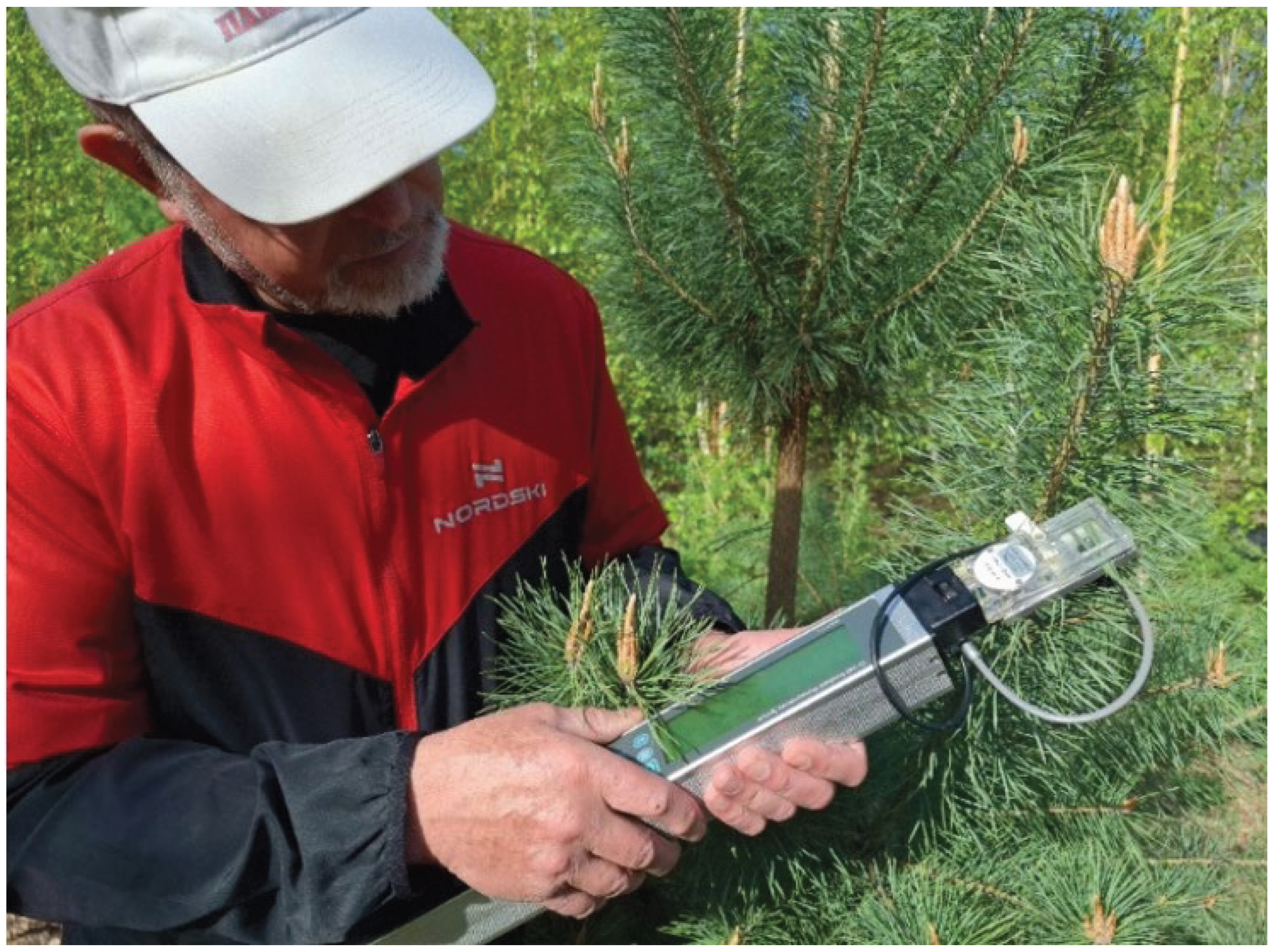 Preprints 191175 g001