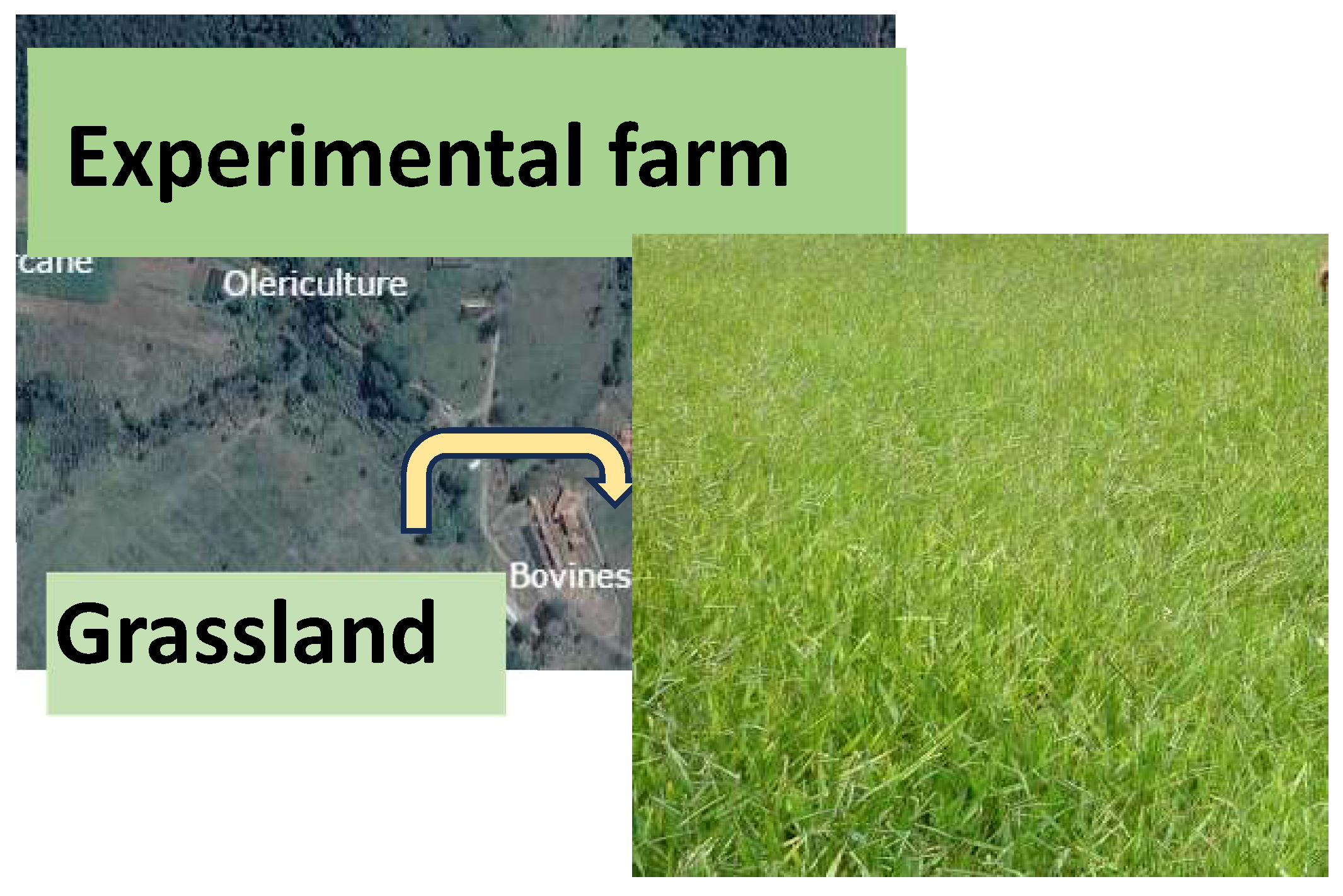 Preprints 146294 g001