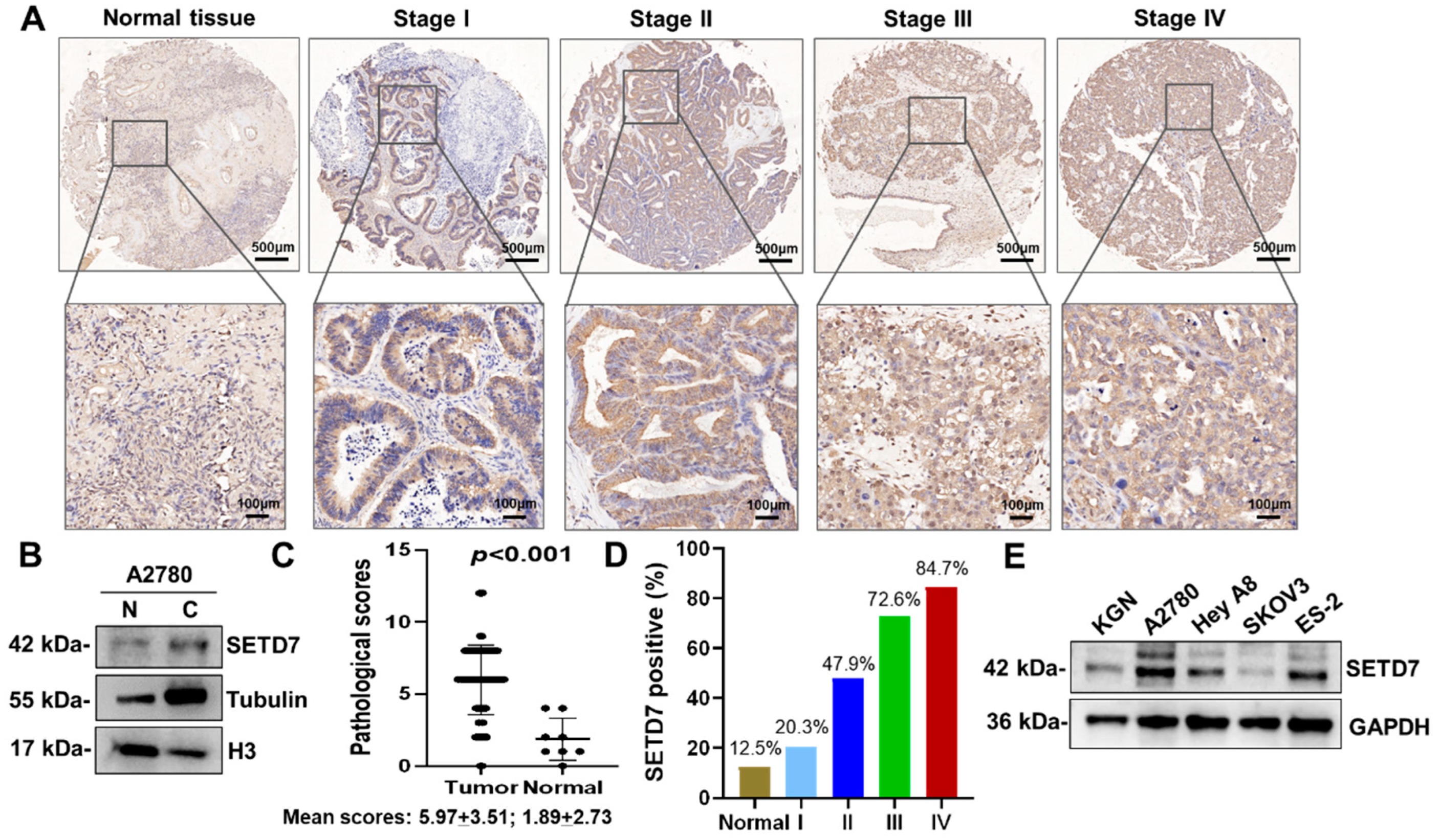 Preprints 93210 g001