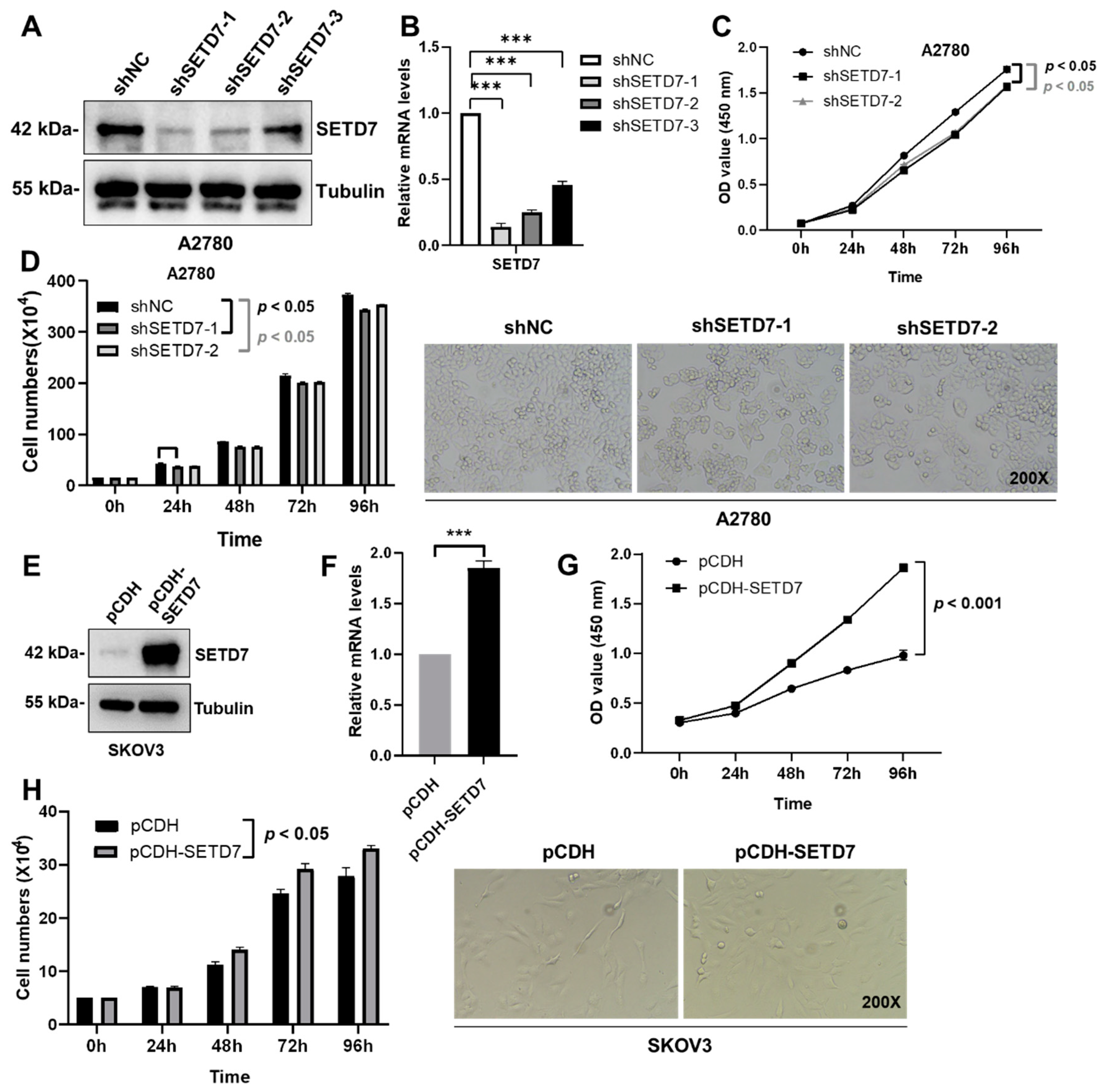 Preprints 93210 g003