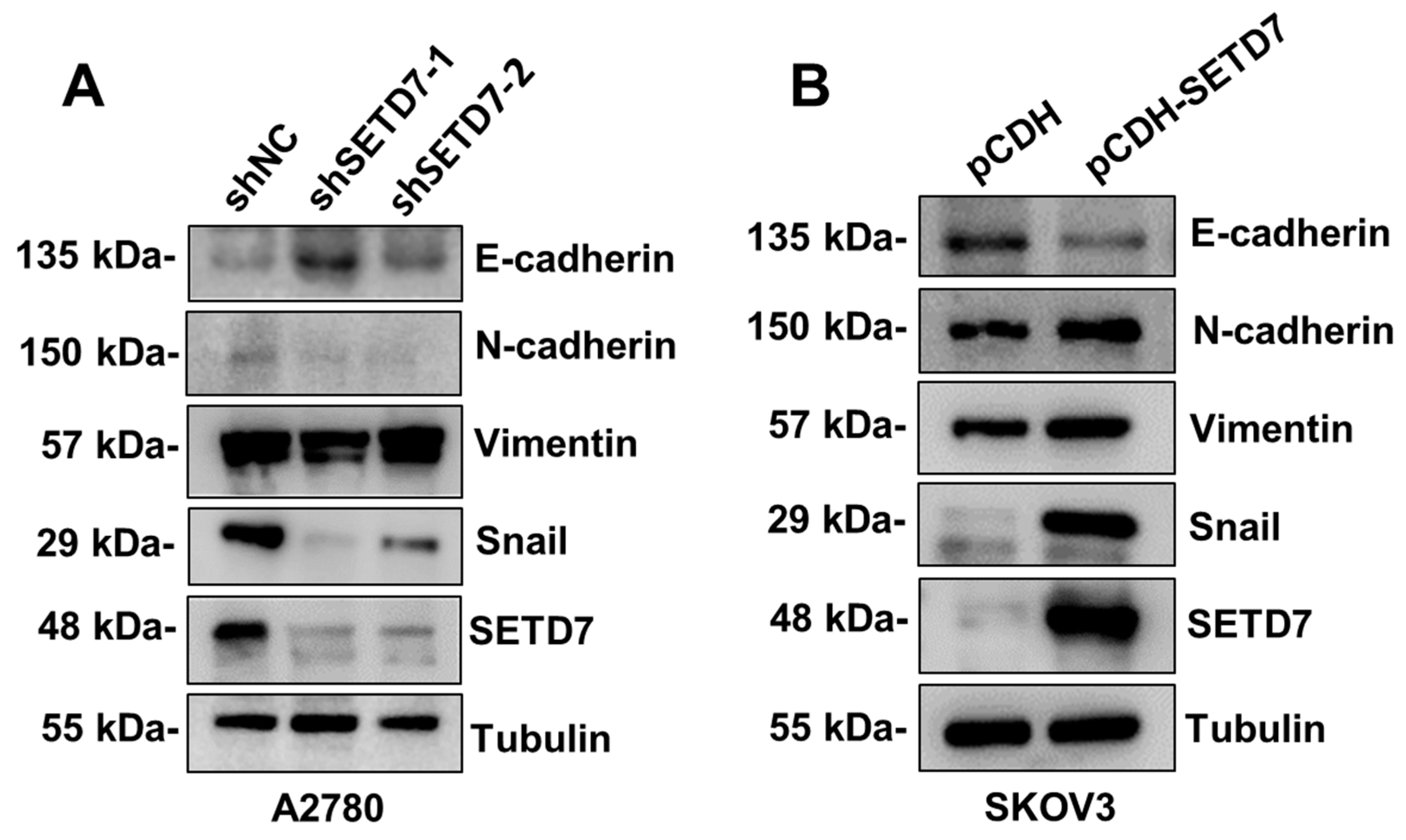 Preprints 93210 g005
