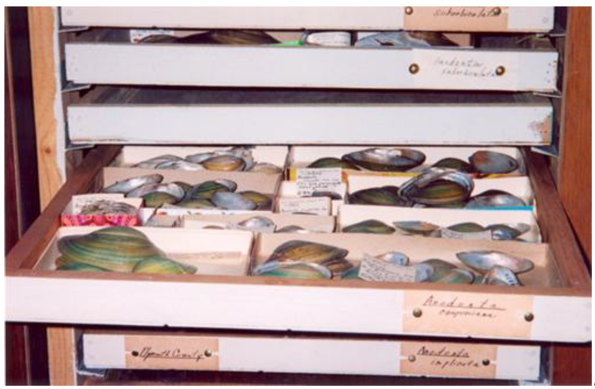 Preprints 152453 g005