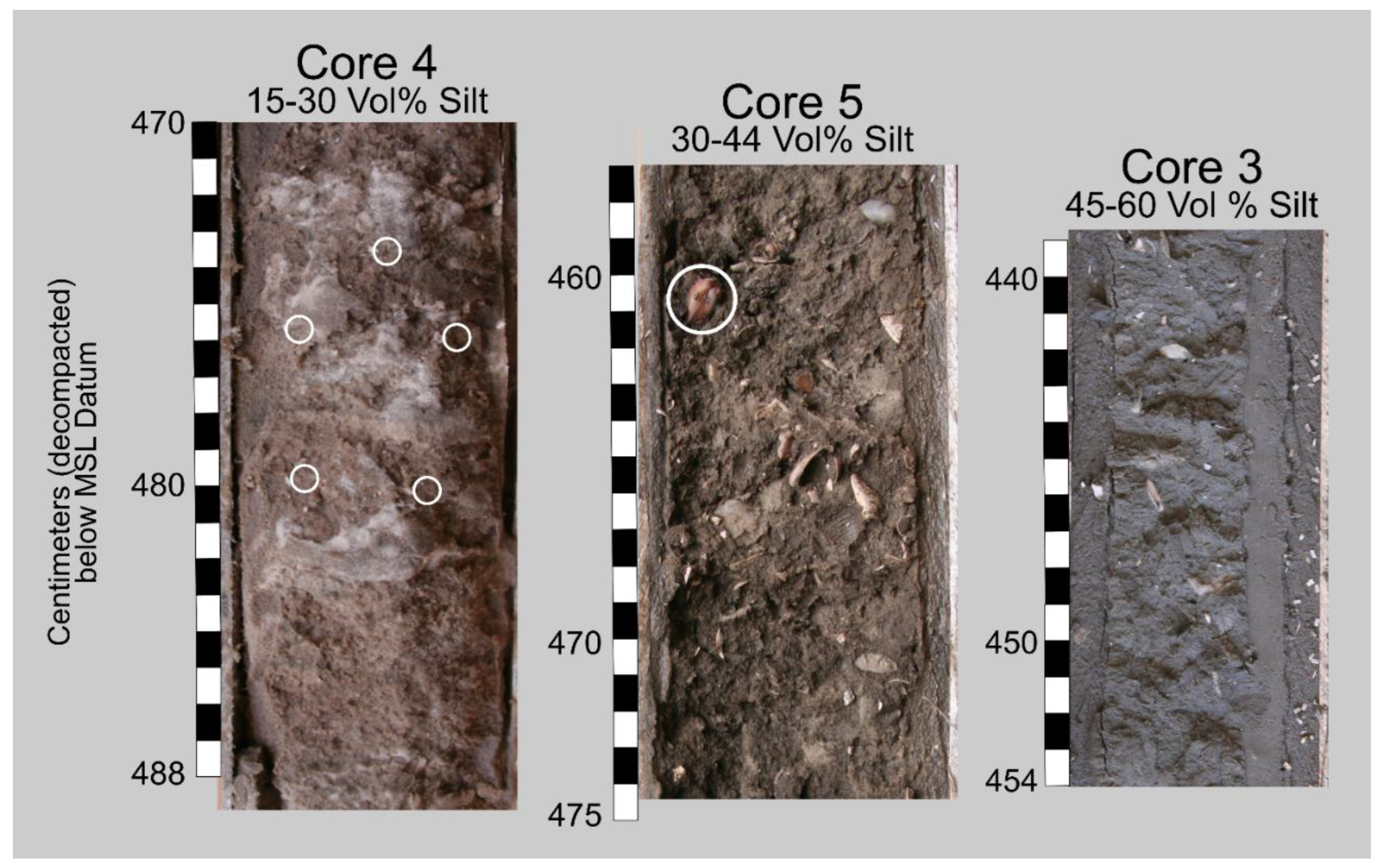 Preprints 172676 g005