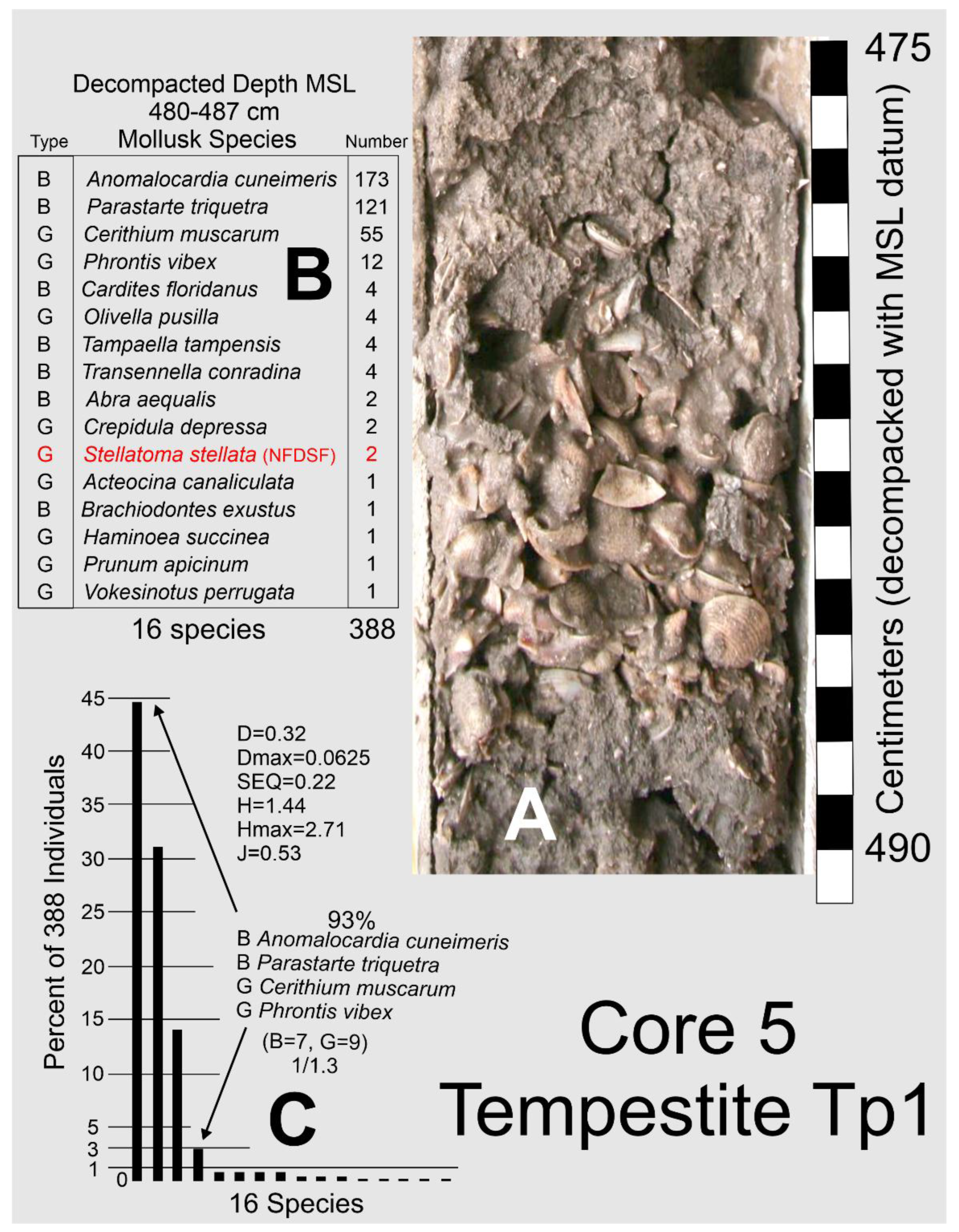 Preprints 172676 g016