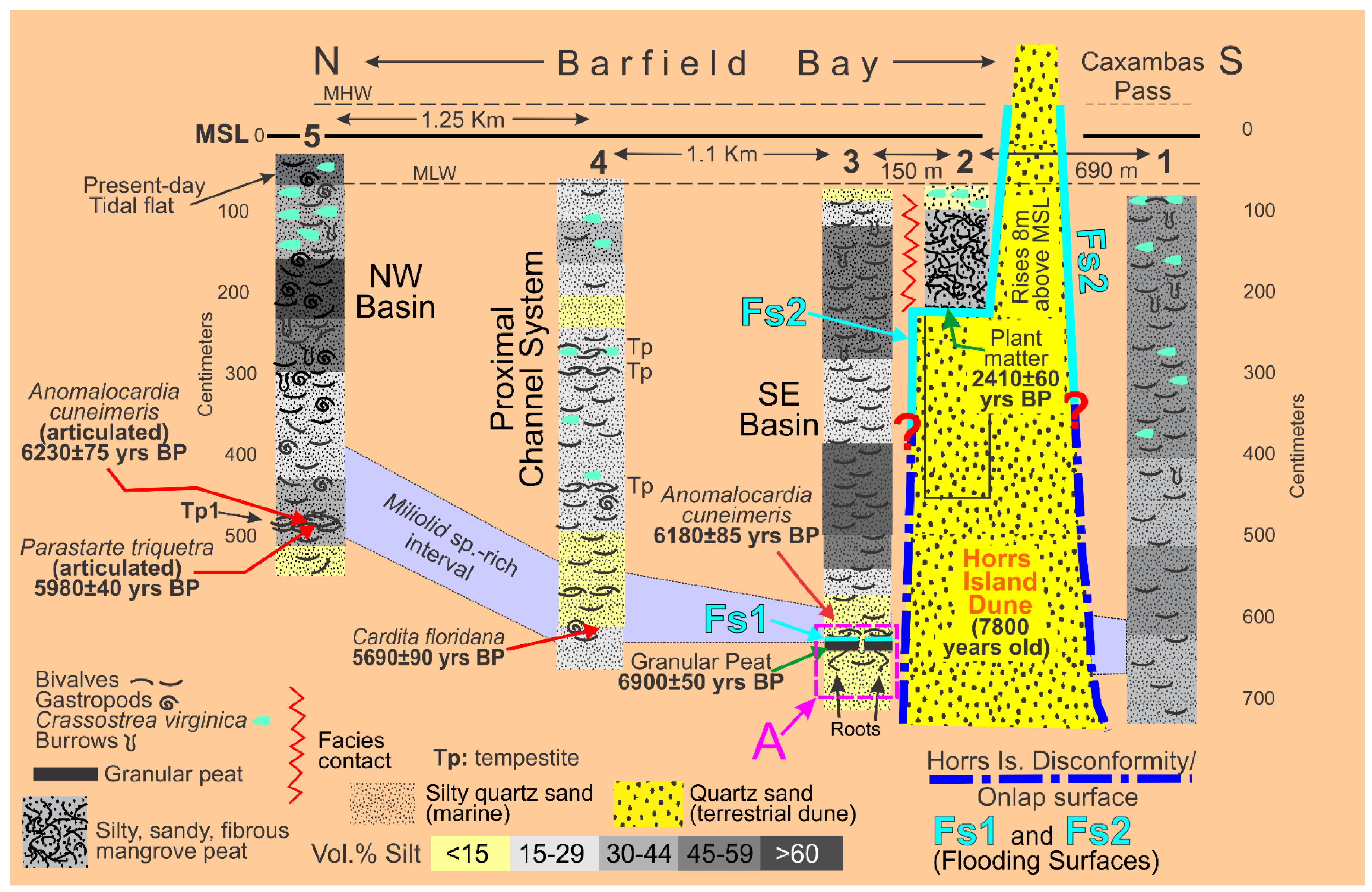 Preprints 172676 g021