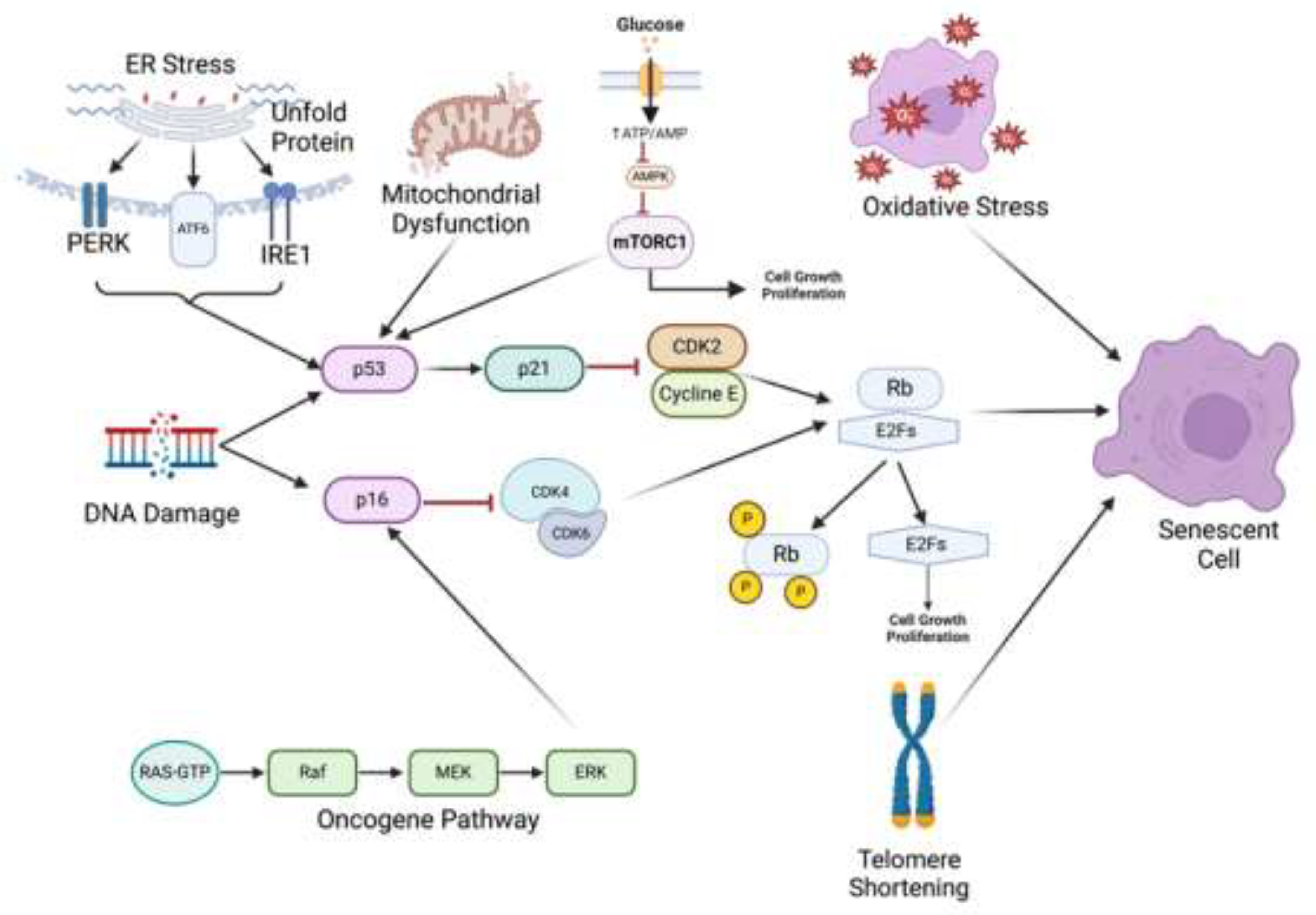 Preprints 146055 g003