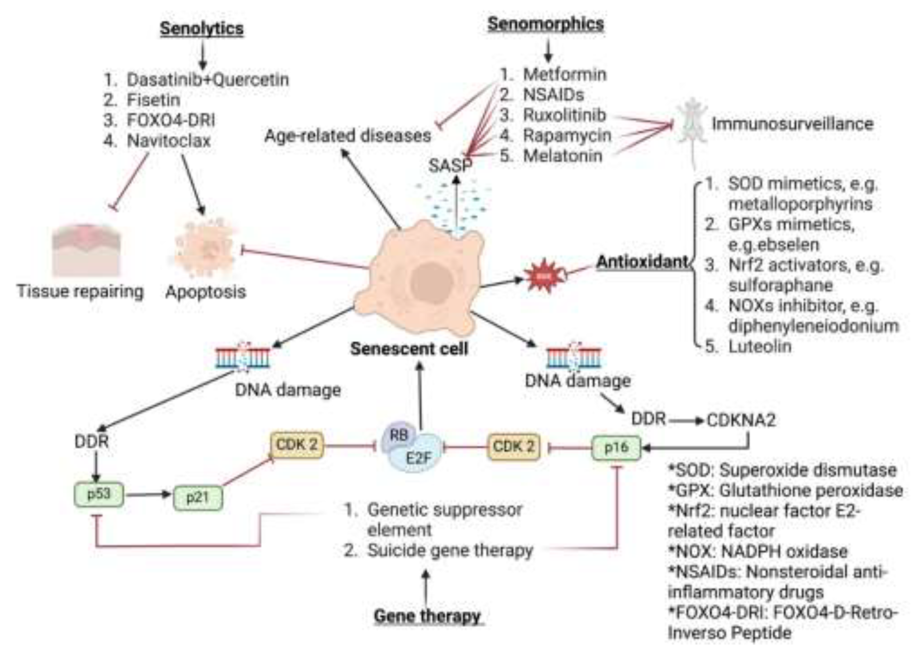 Preprints 146055 g008