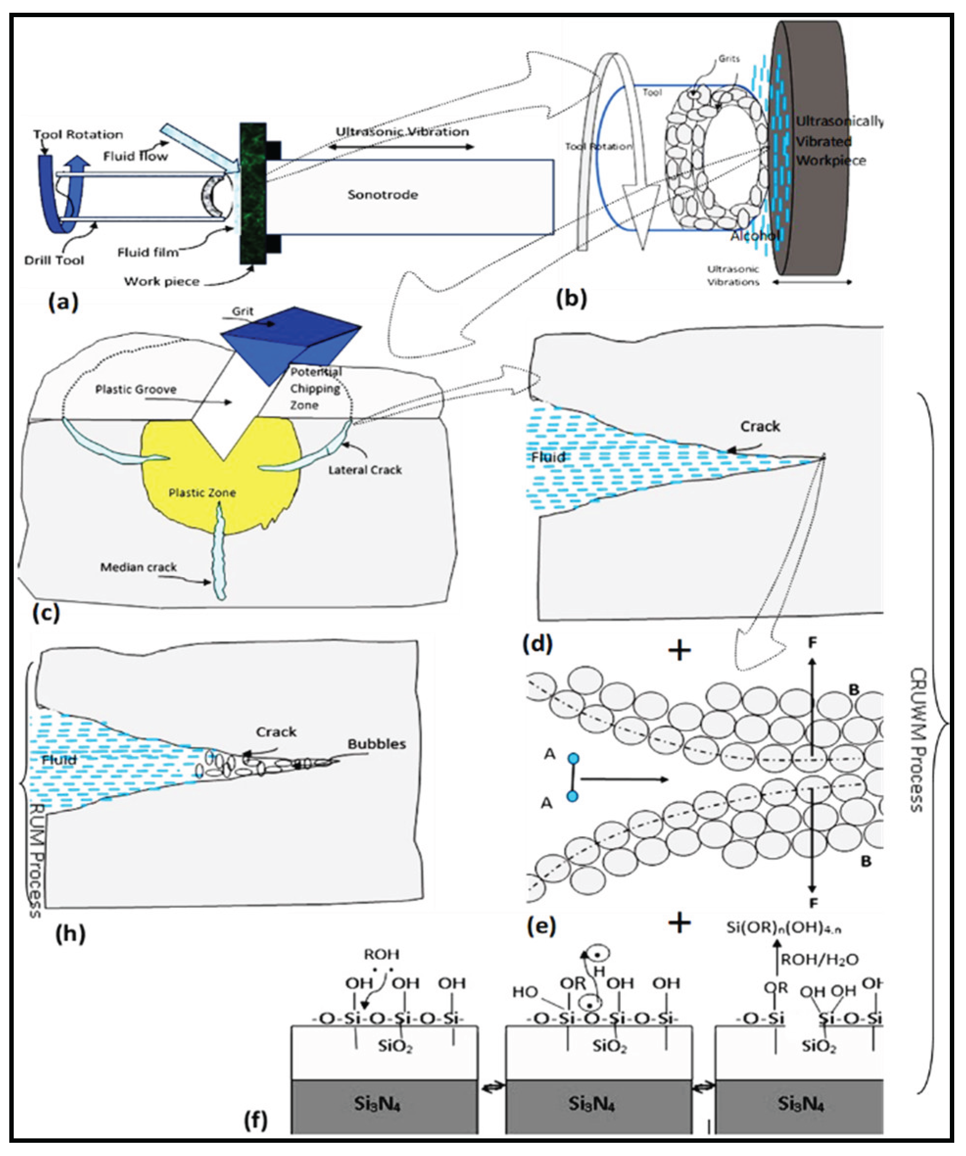 Preprints 176529 g003