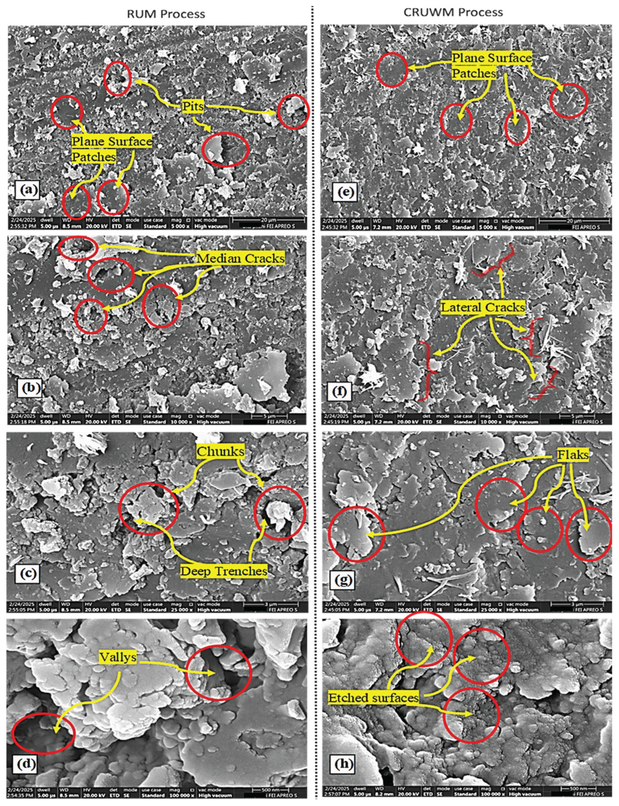 Preprints 176529 g004
