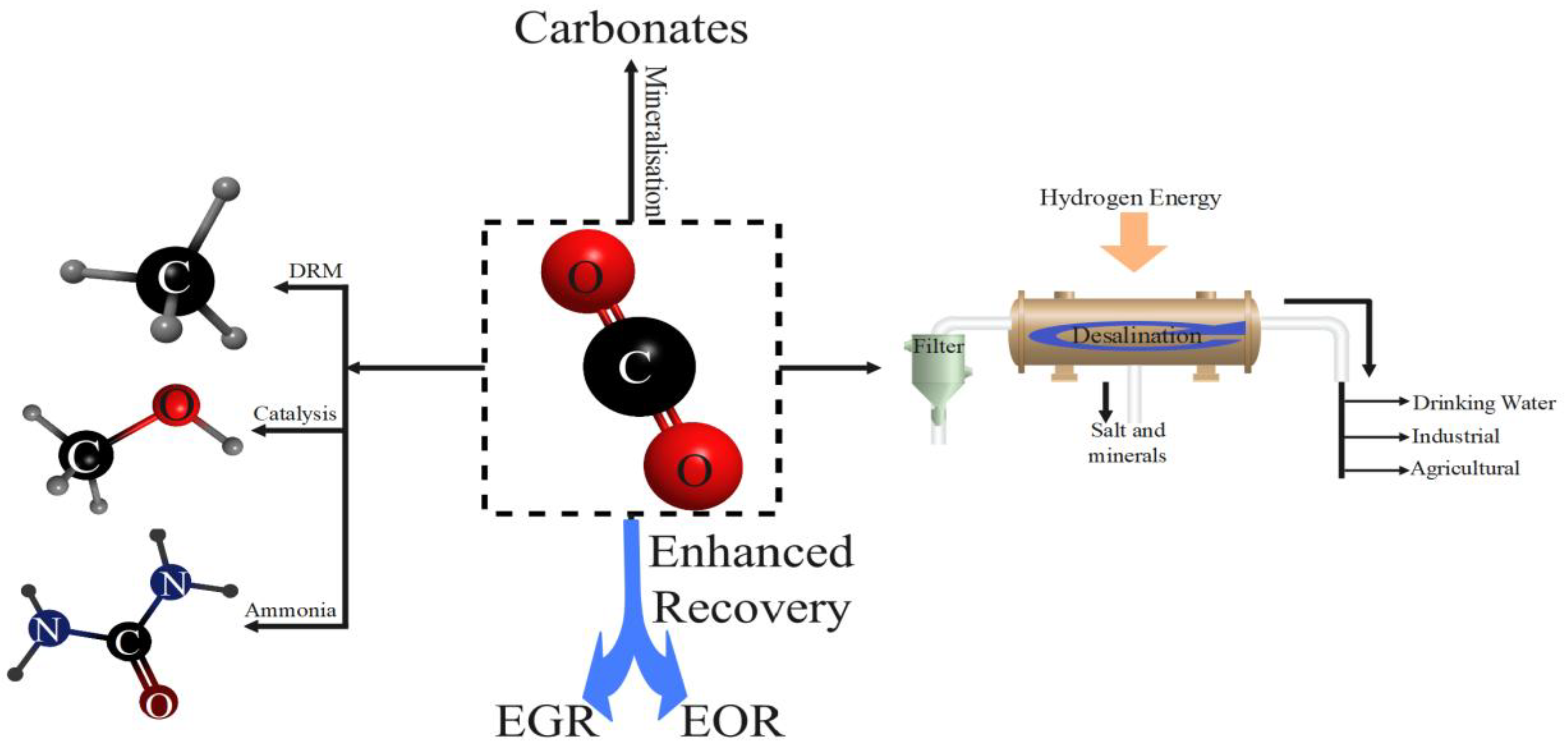 Preprints 165892 g004