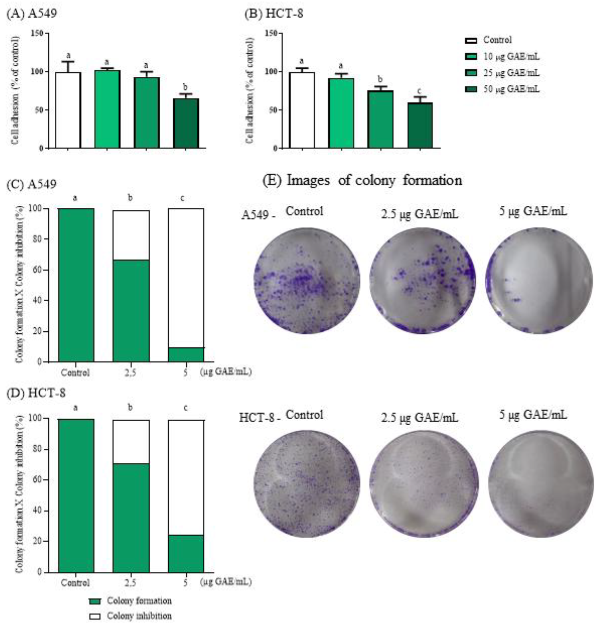 Preprints 190261 g001