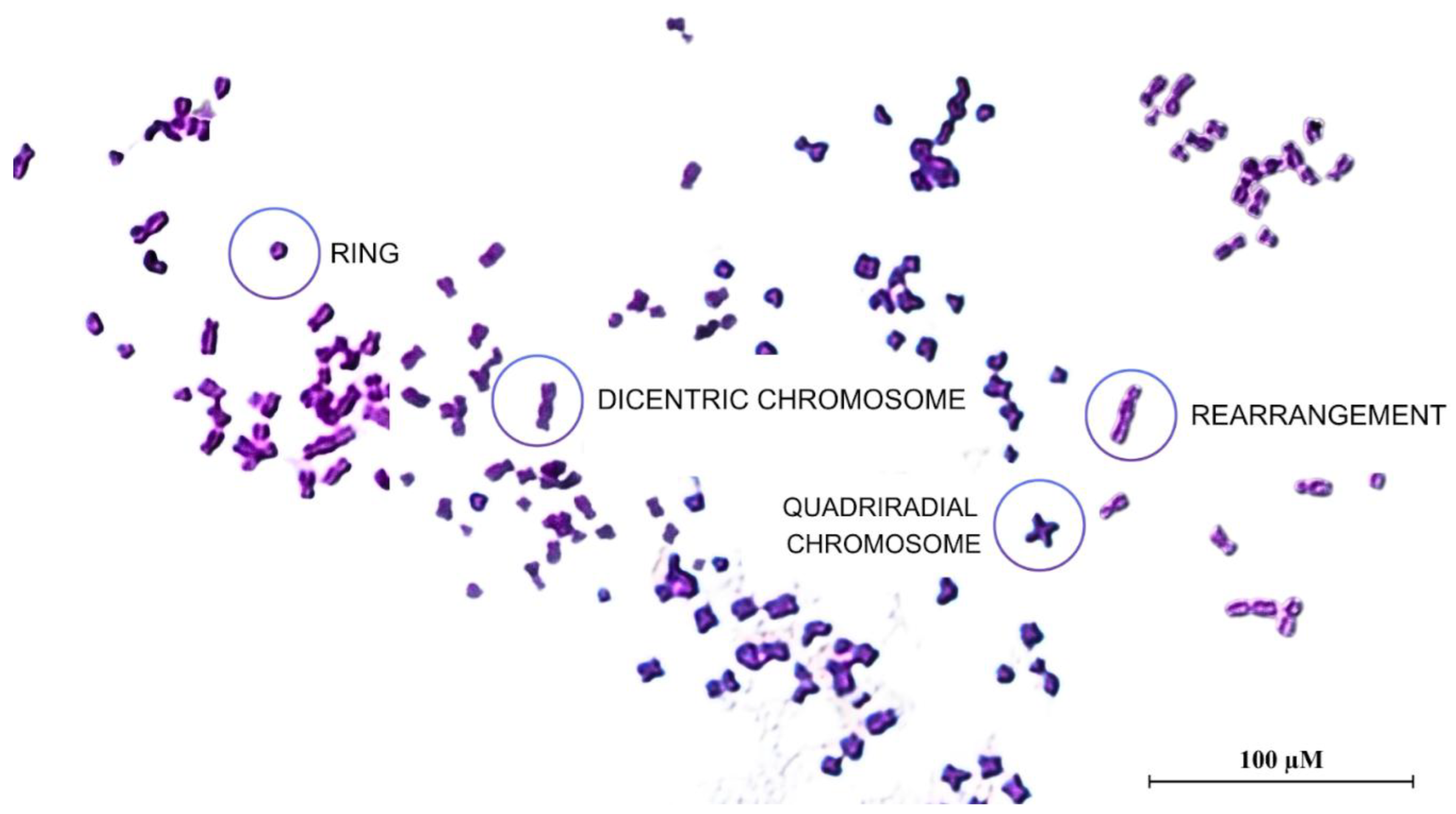 Preprints 190261 g003