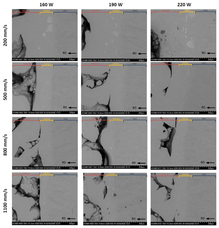 Preprints 221276 g004 Preprints 221276 g004