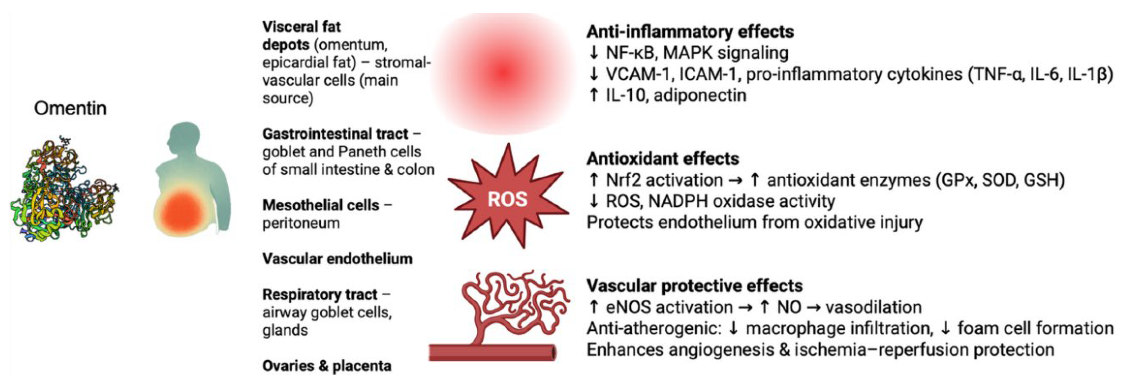Preprints 174876 g001