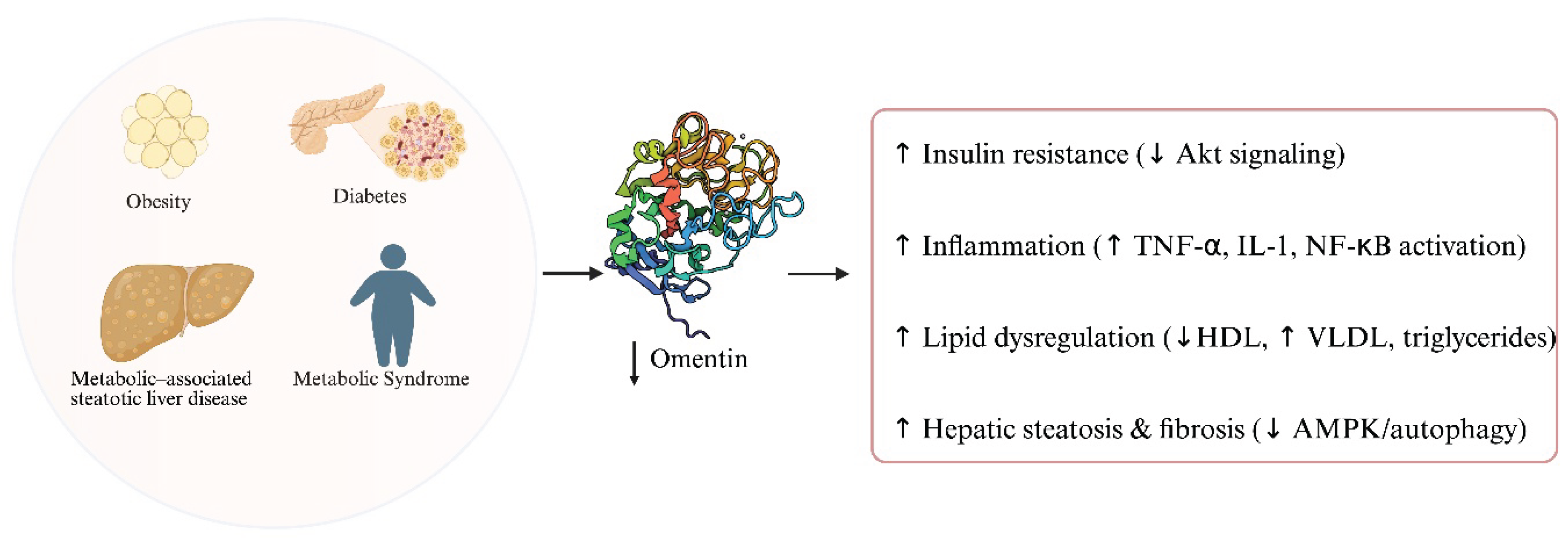 Preprints 174876 g002
