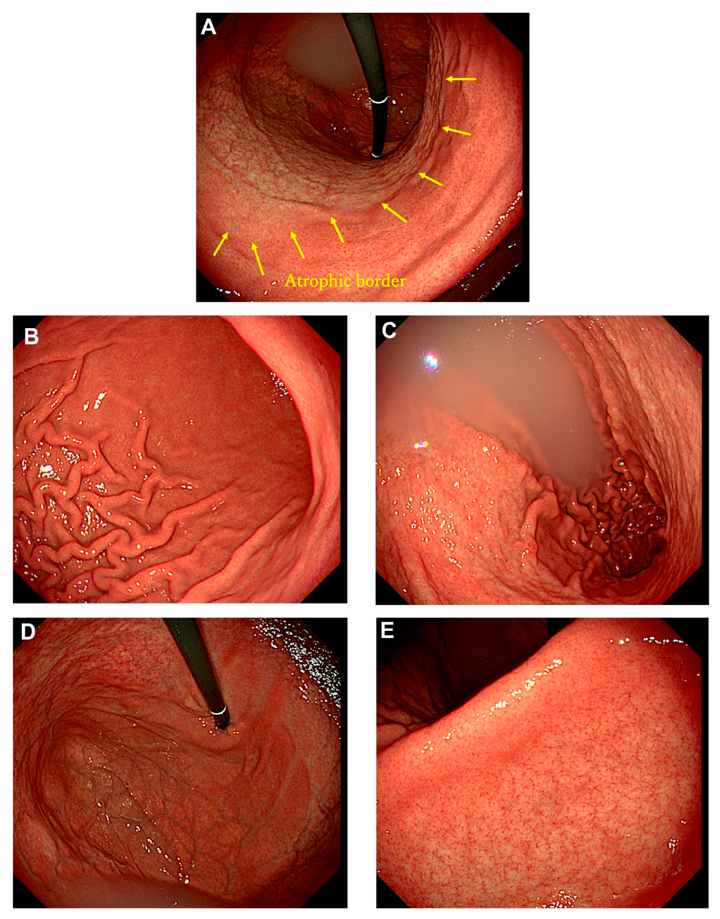 Preprints 147382 g001