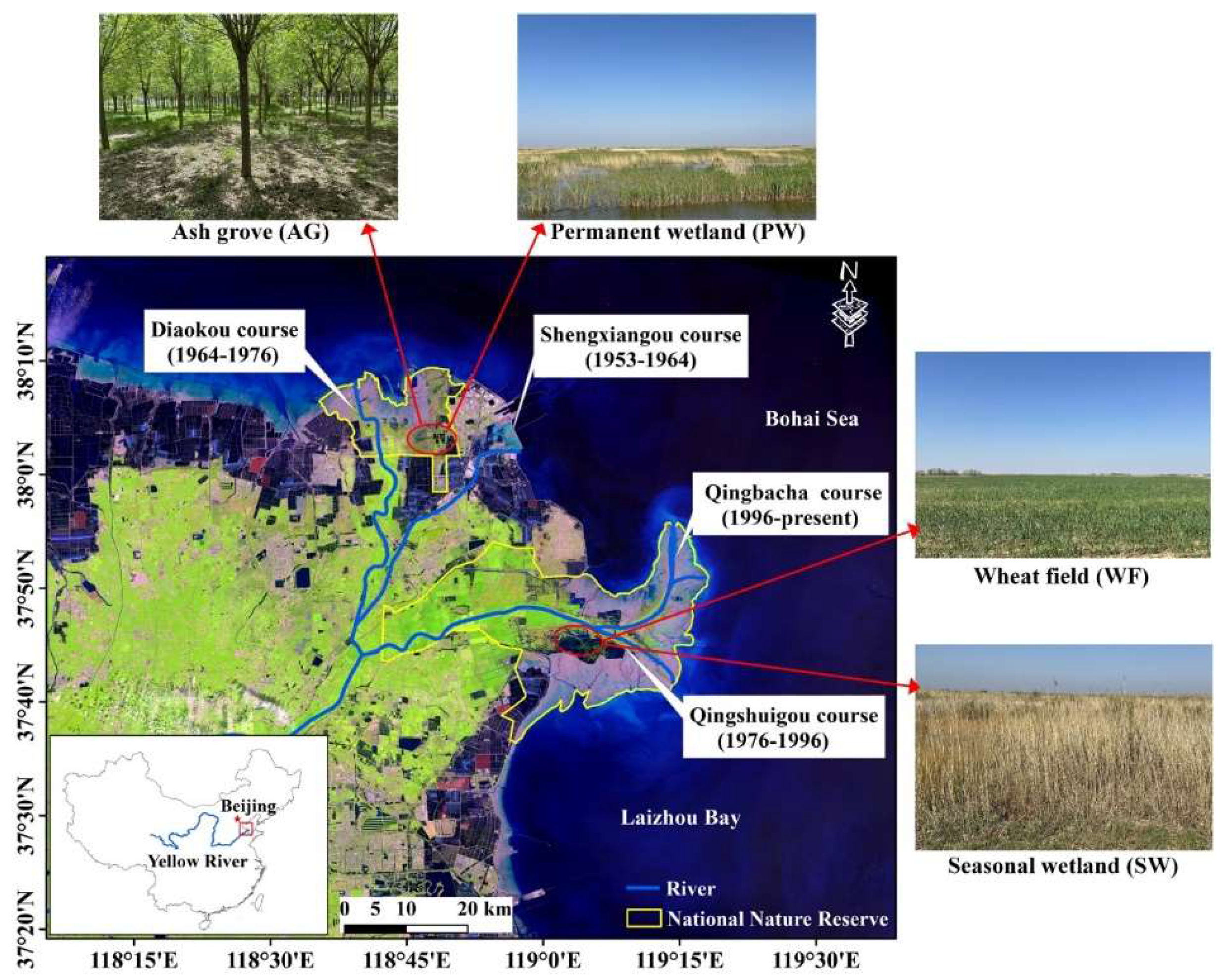 Preprints 155549 g001