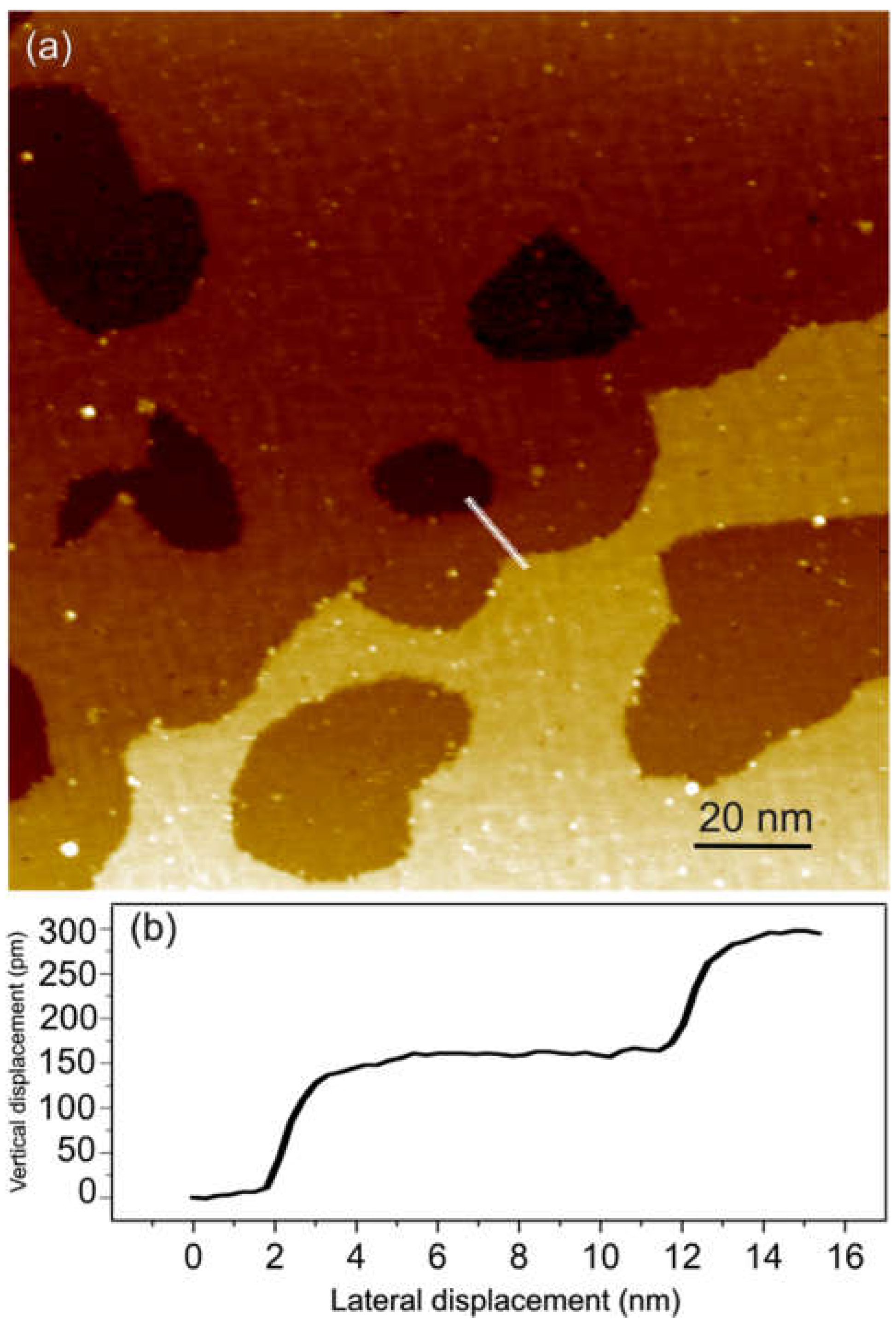 Preprints 153834 g002