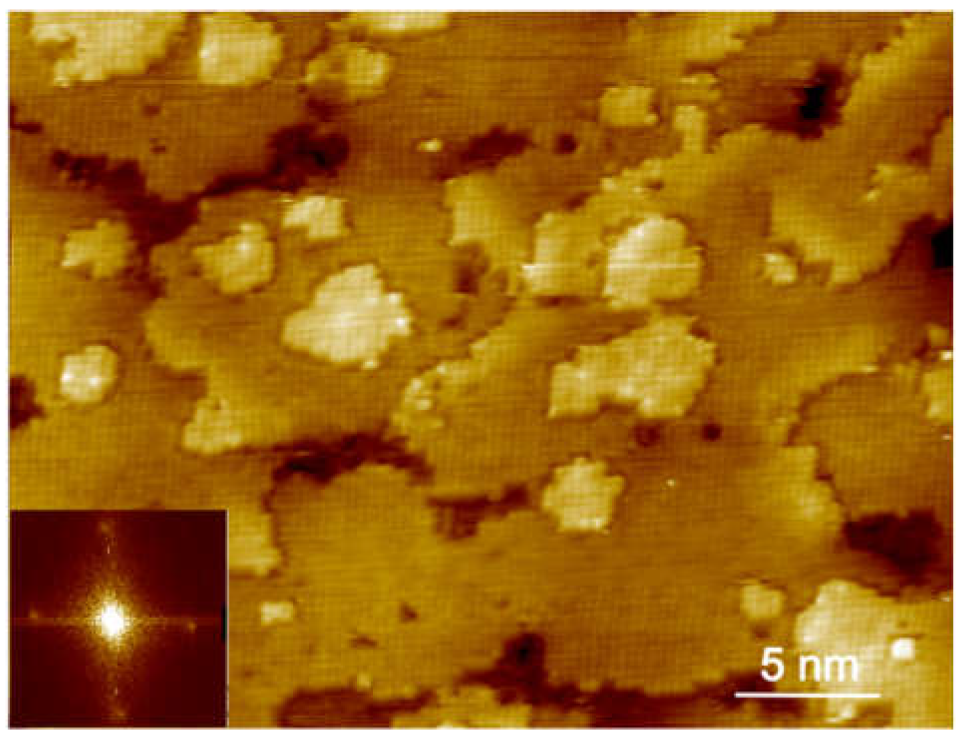 Preprints 153834 g006