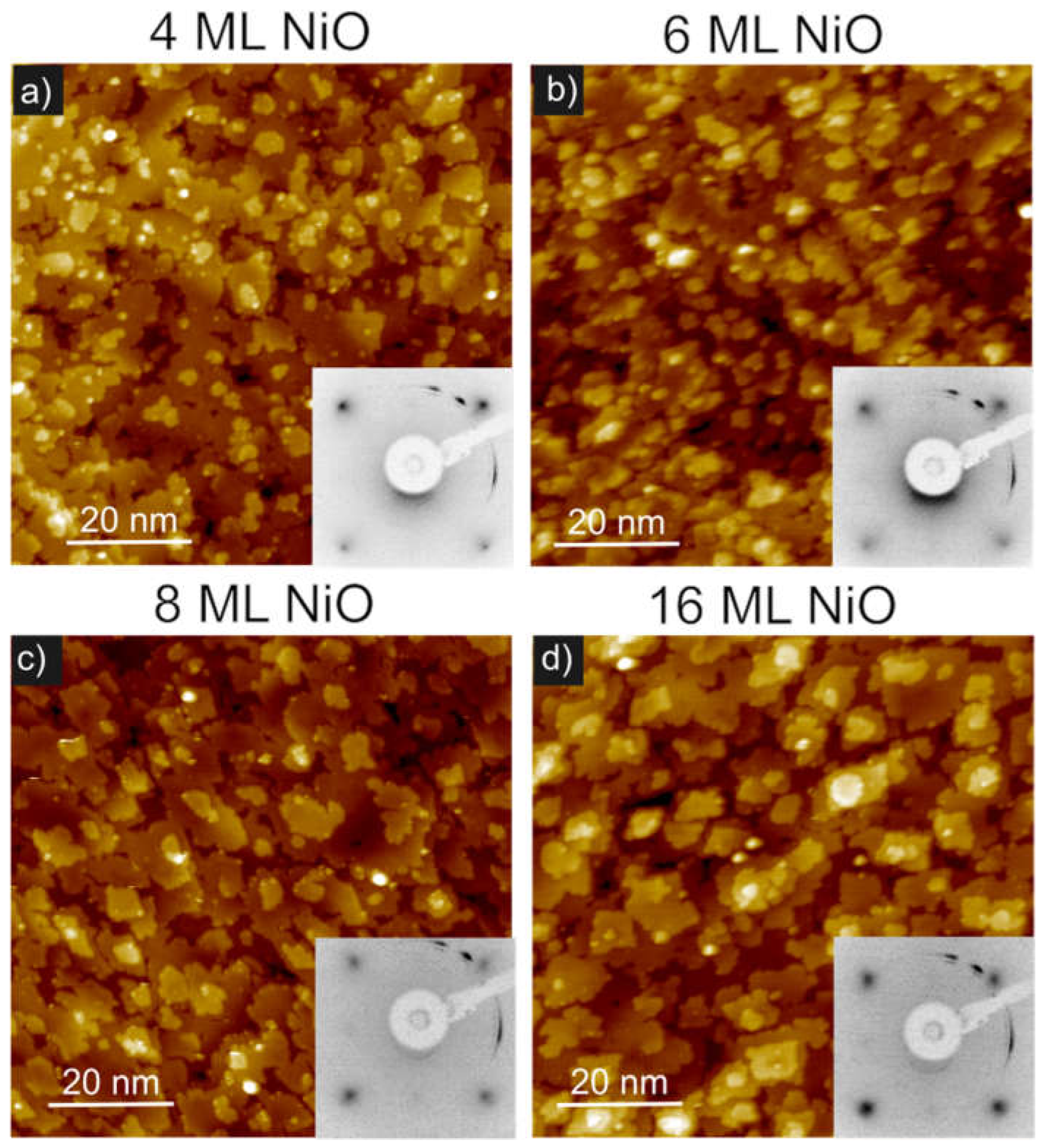 Preprints 153834 g007