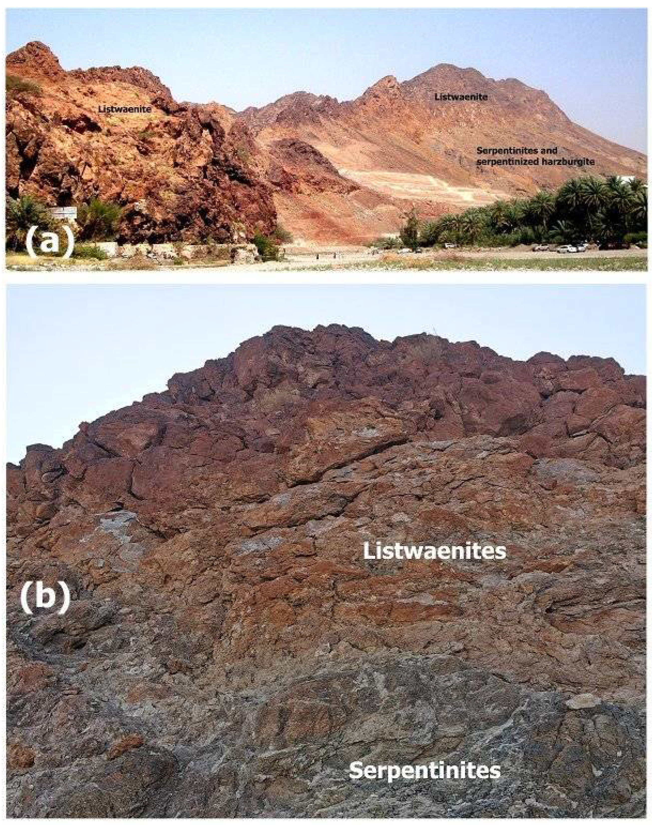Preprints 109252 g002
