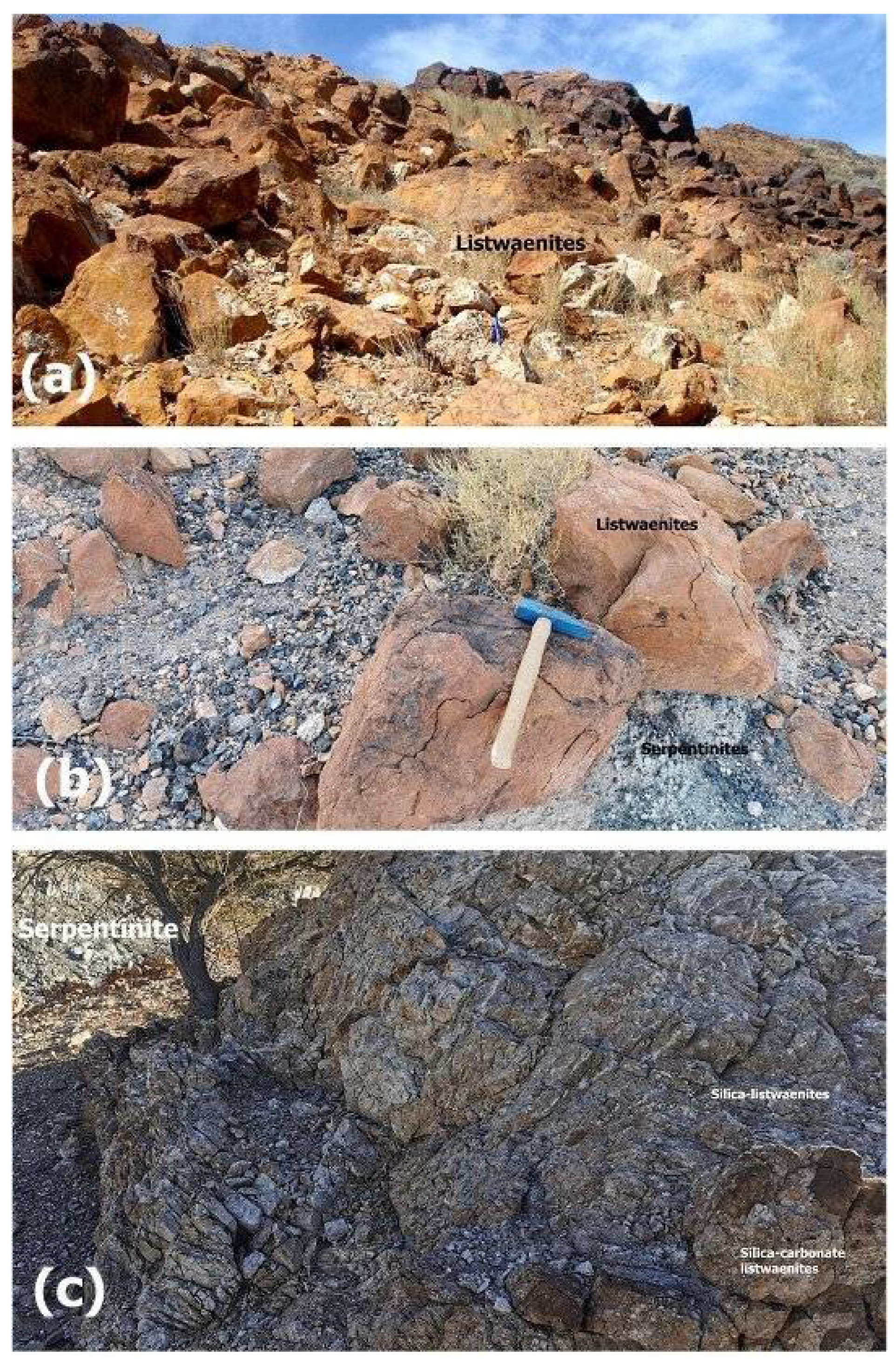 Preprints 109252 g004