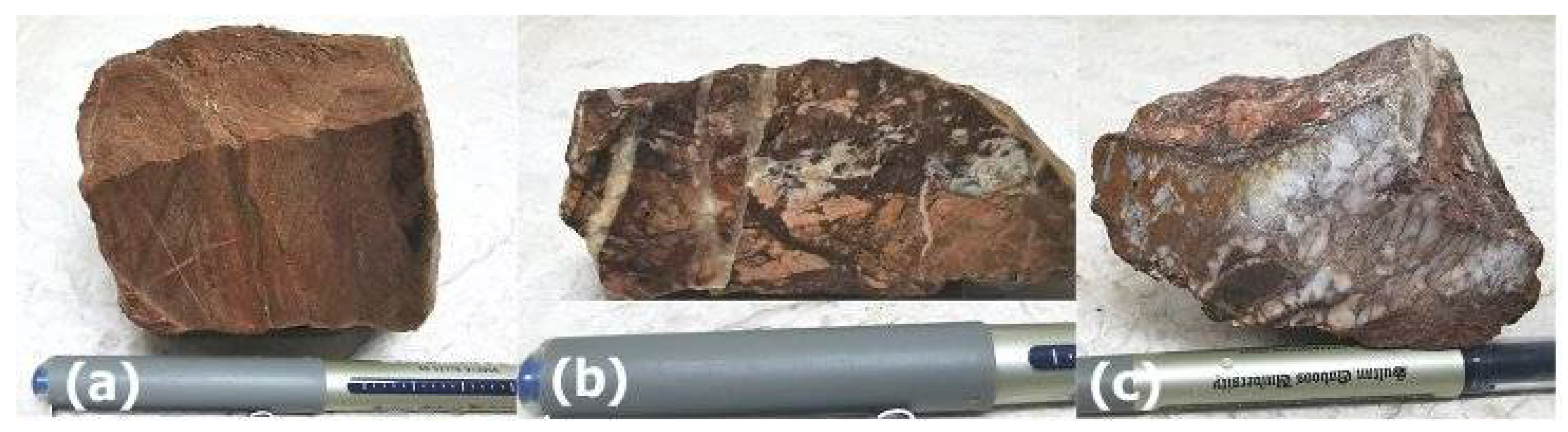 Preprints 109252 g005