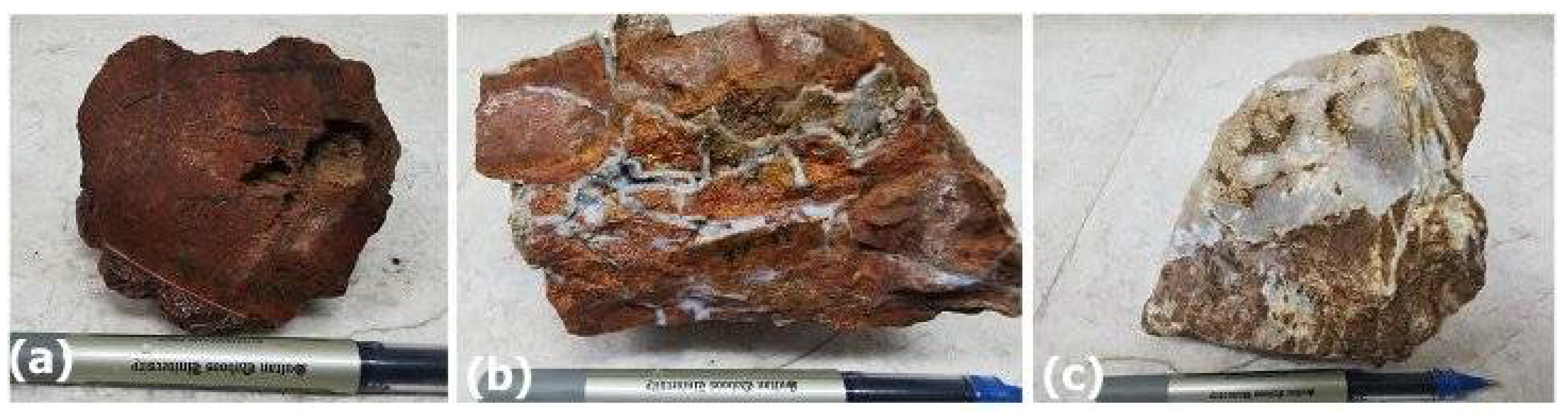 Preprints 109252 g006