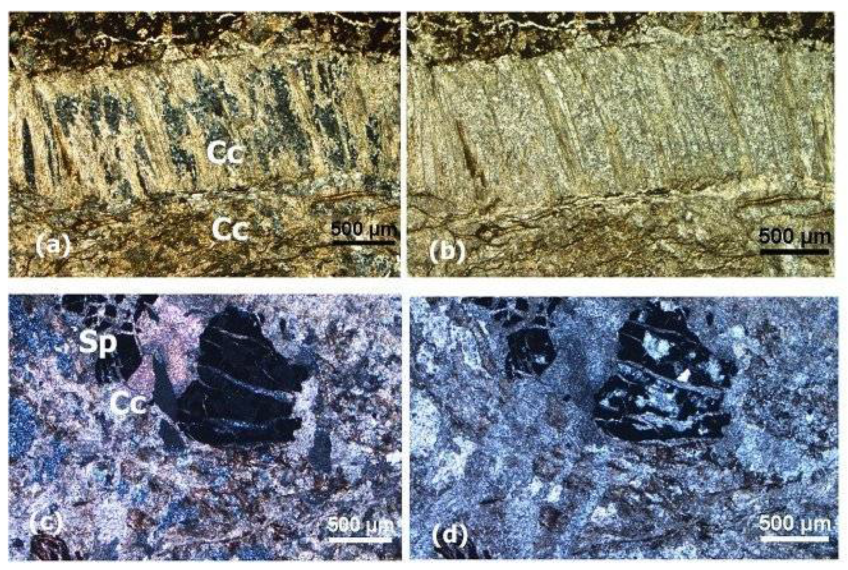 Preprints 109252 g007