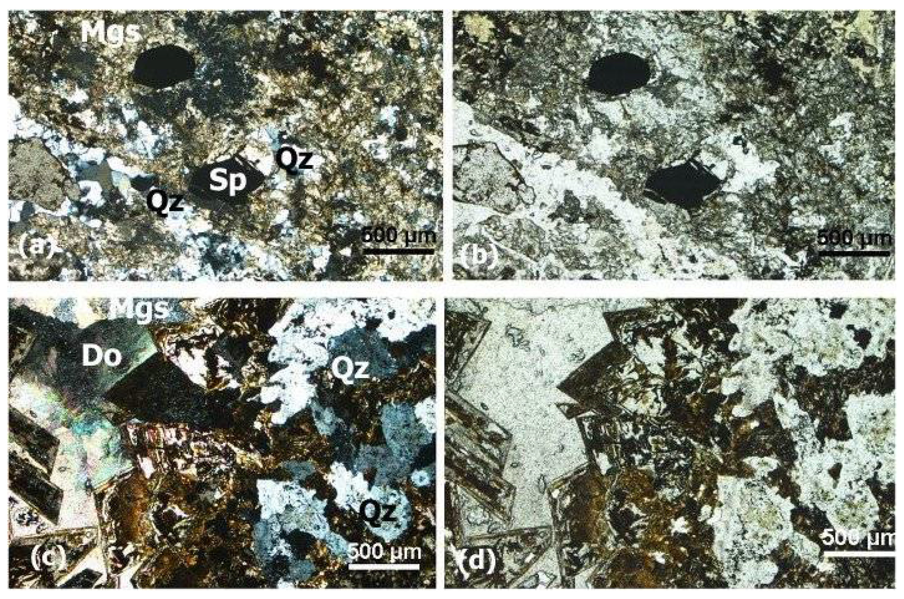 Preprints 109252 g008