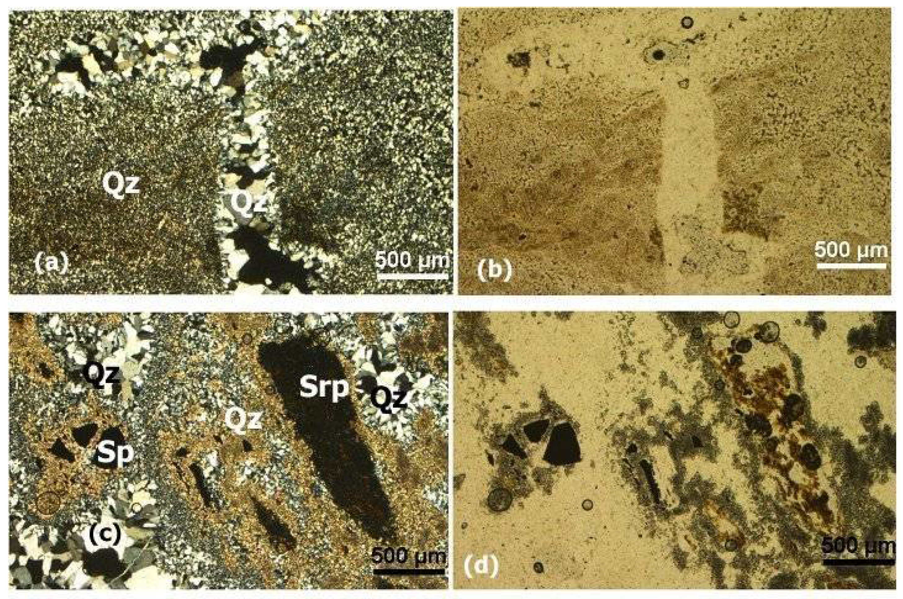 Preprints 109252 g009