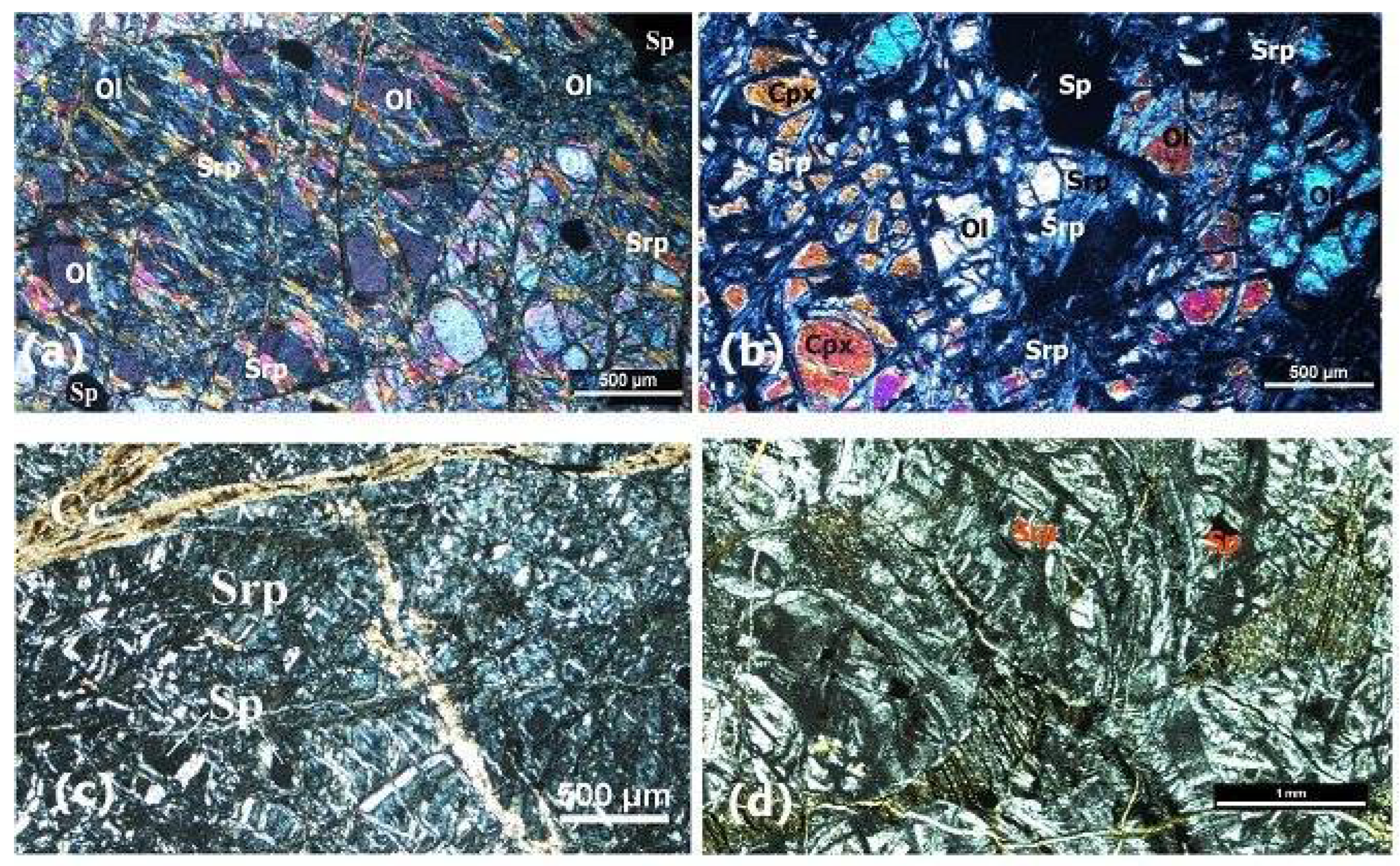 Preprints 109252 g010