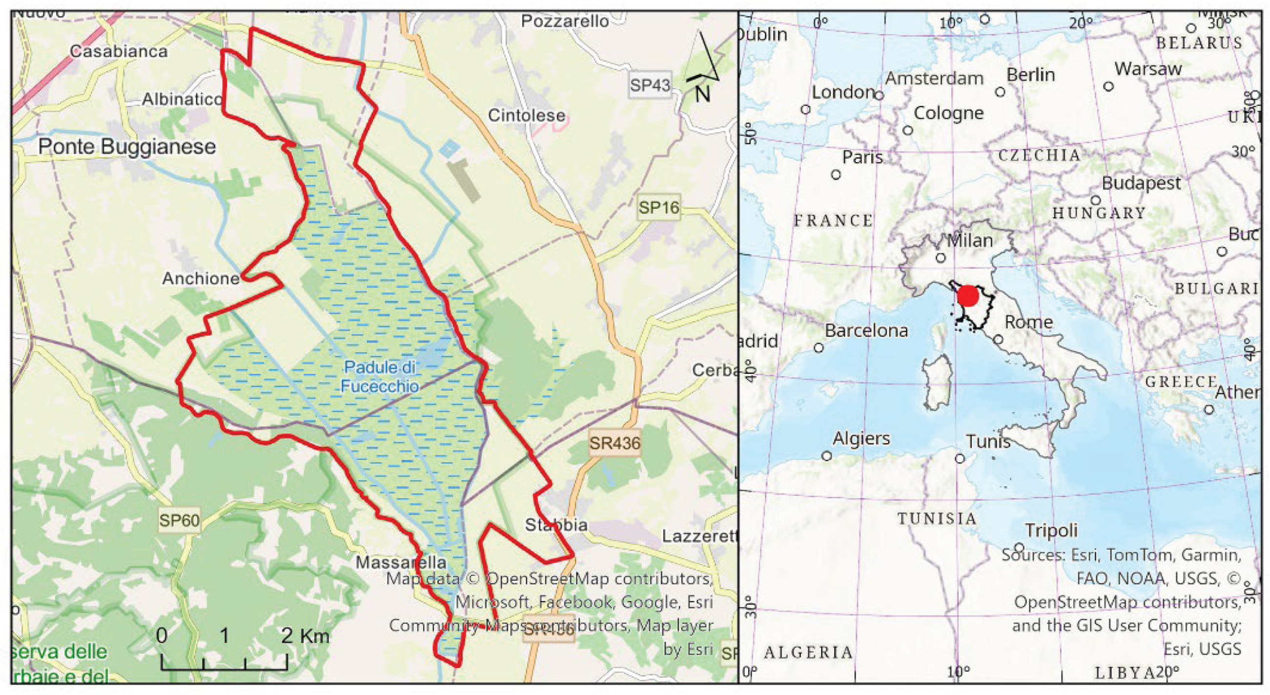 Preprints 172024 g001