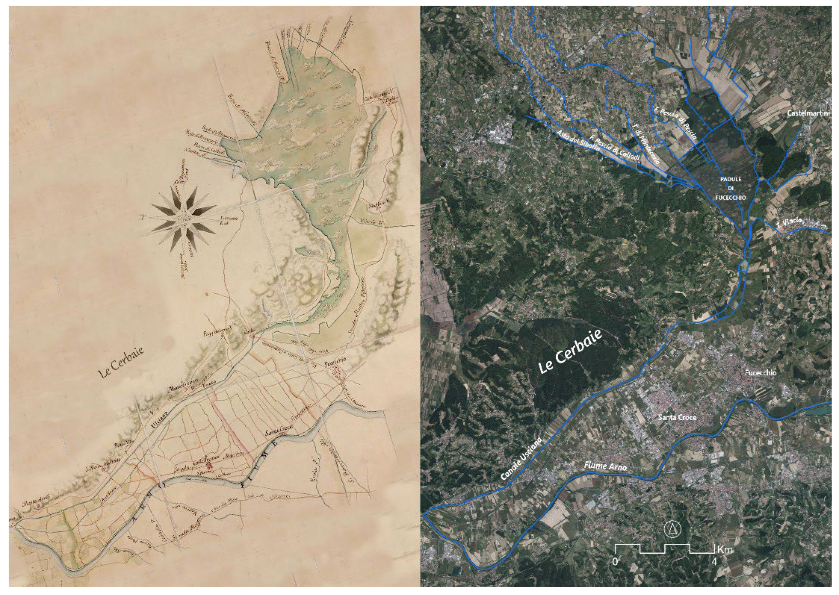 Preprints 172024 g002