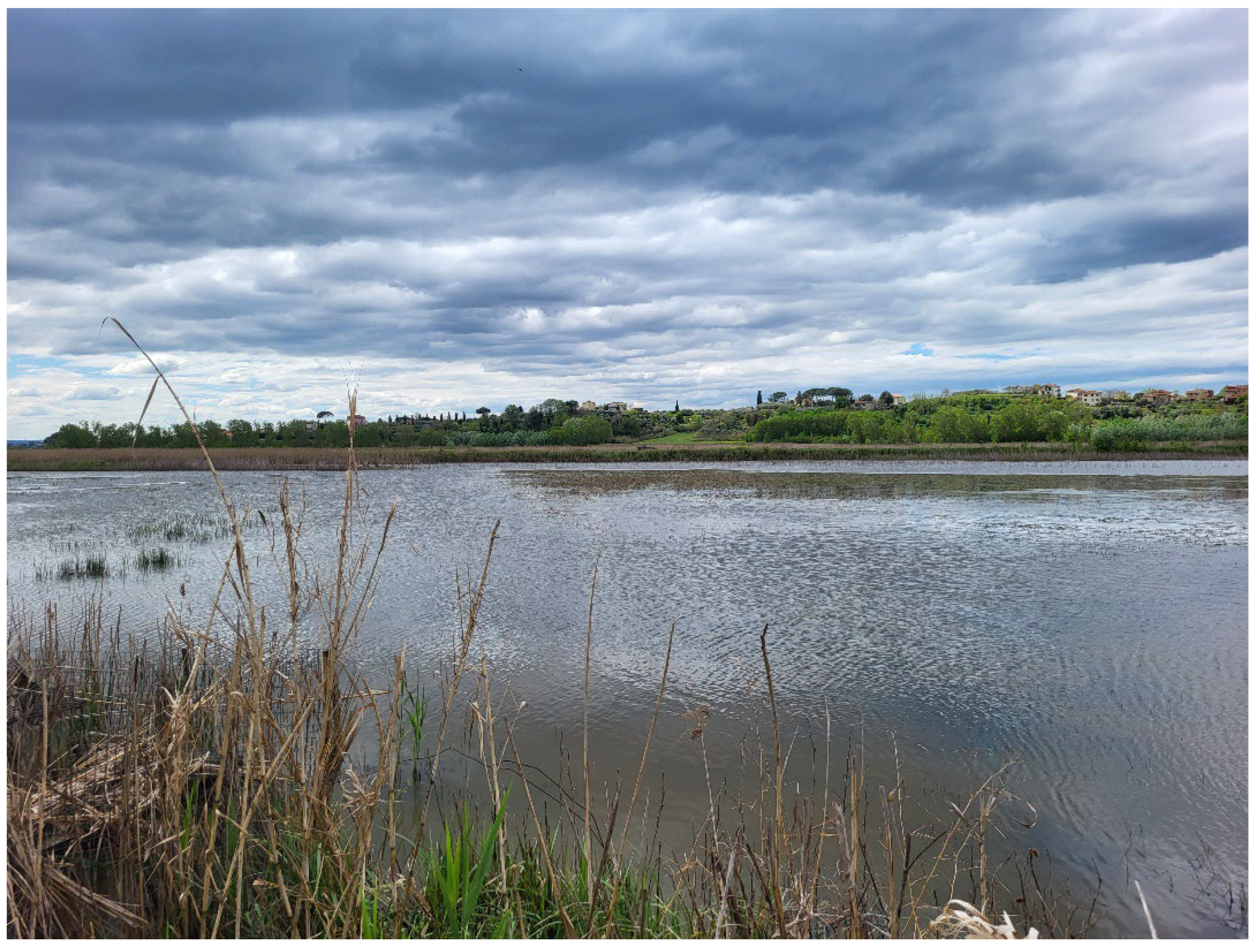 Preprints 172024 g004