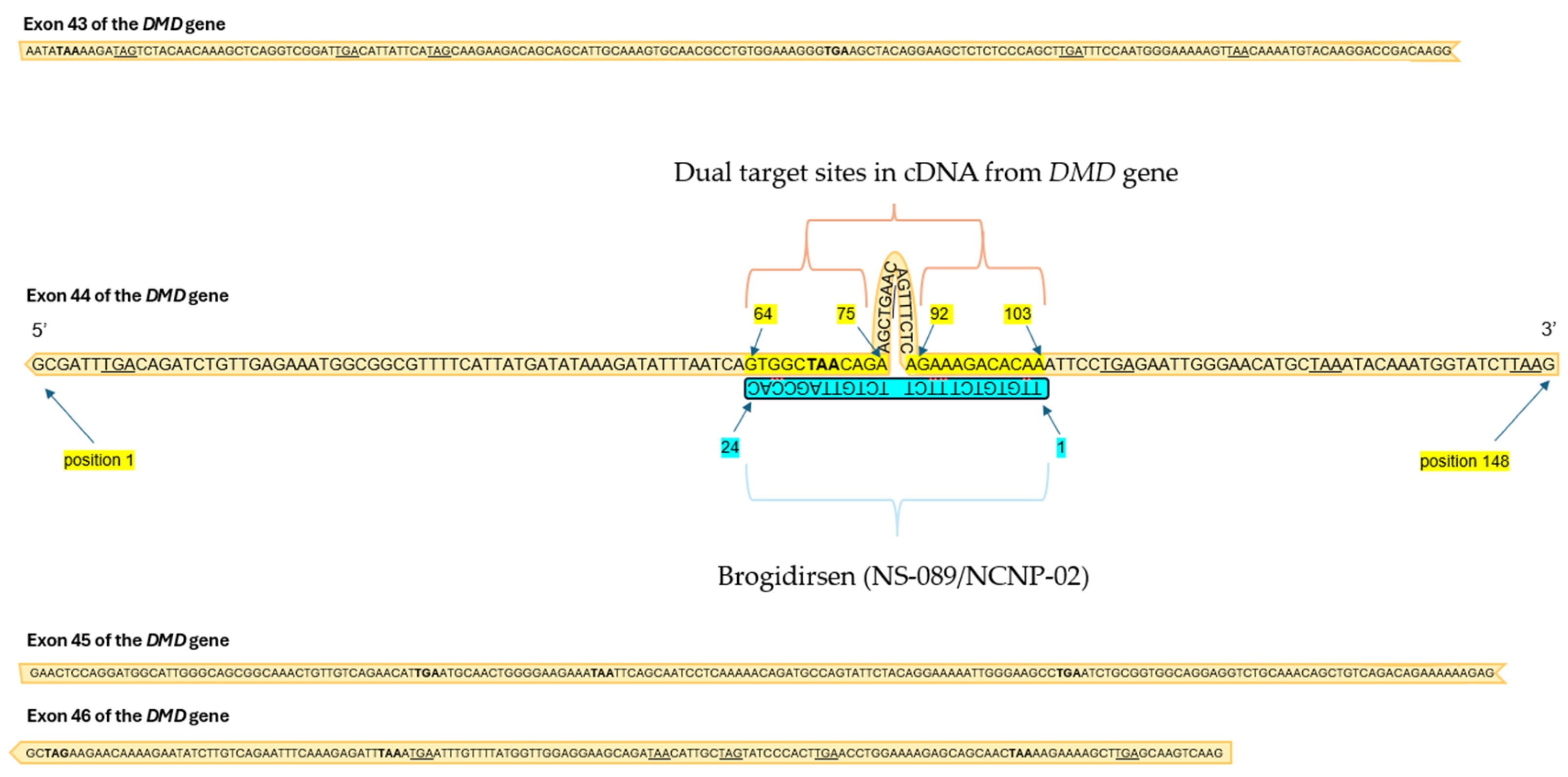 Preprints 160982 g001