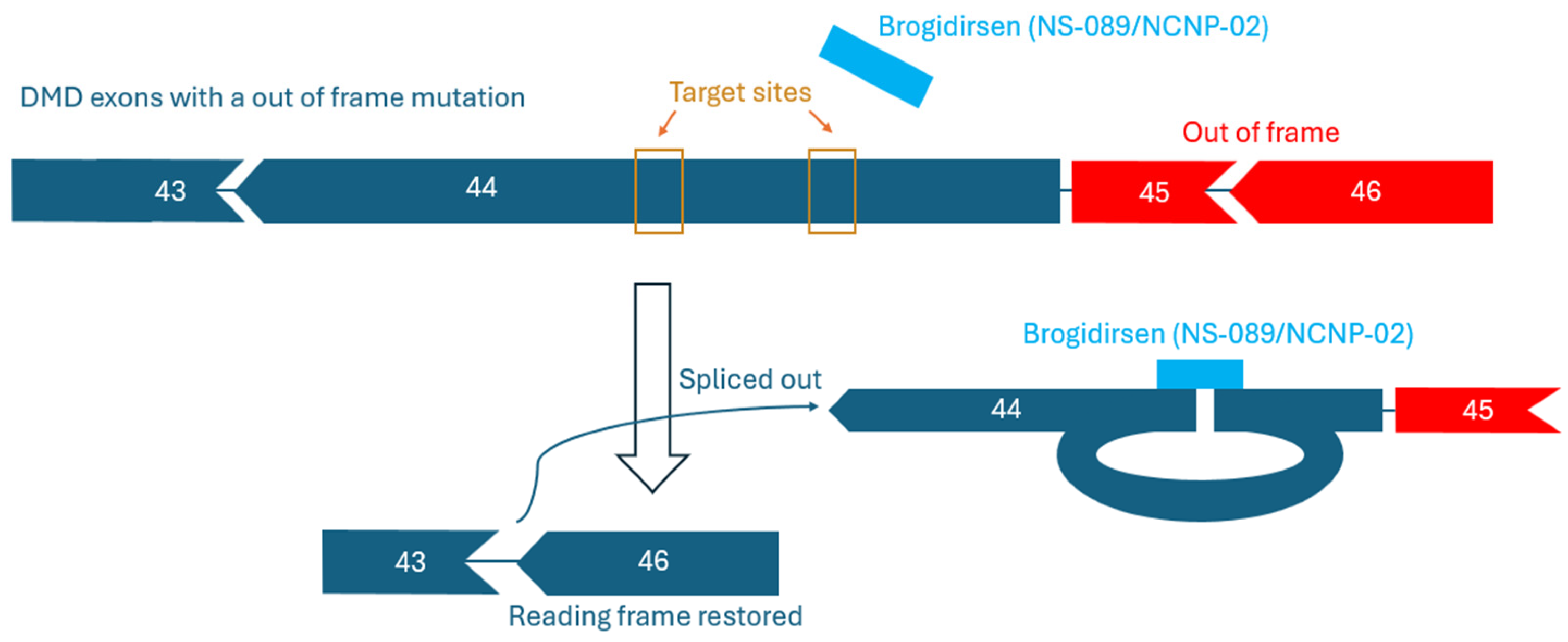 Preprints 160982 g002