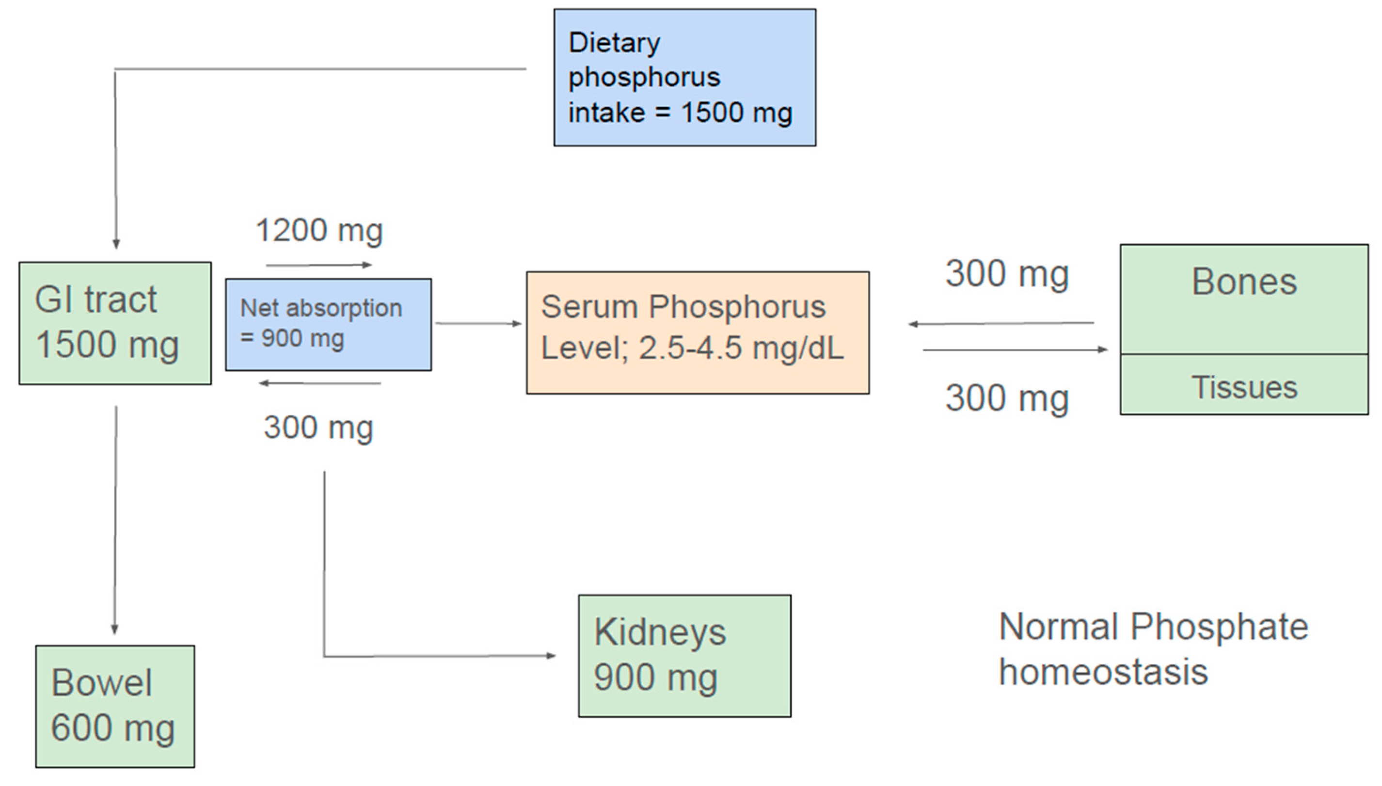 Preprints 154527 g001