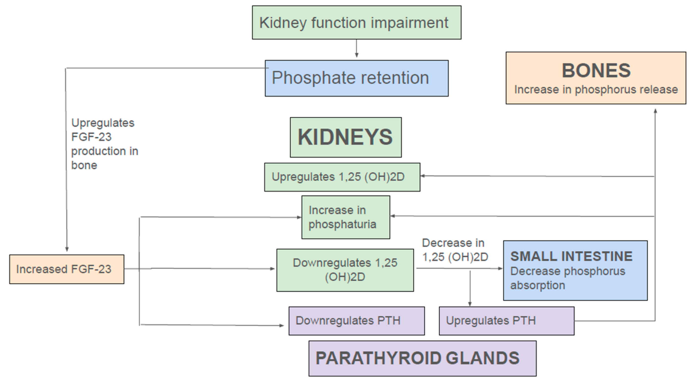 Preprints 154527 g002