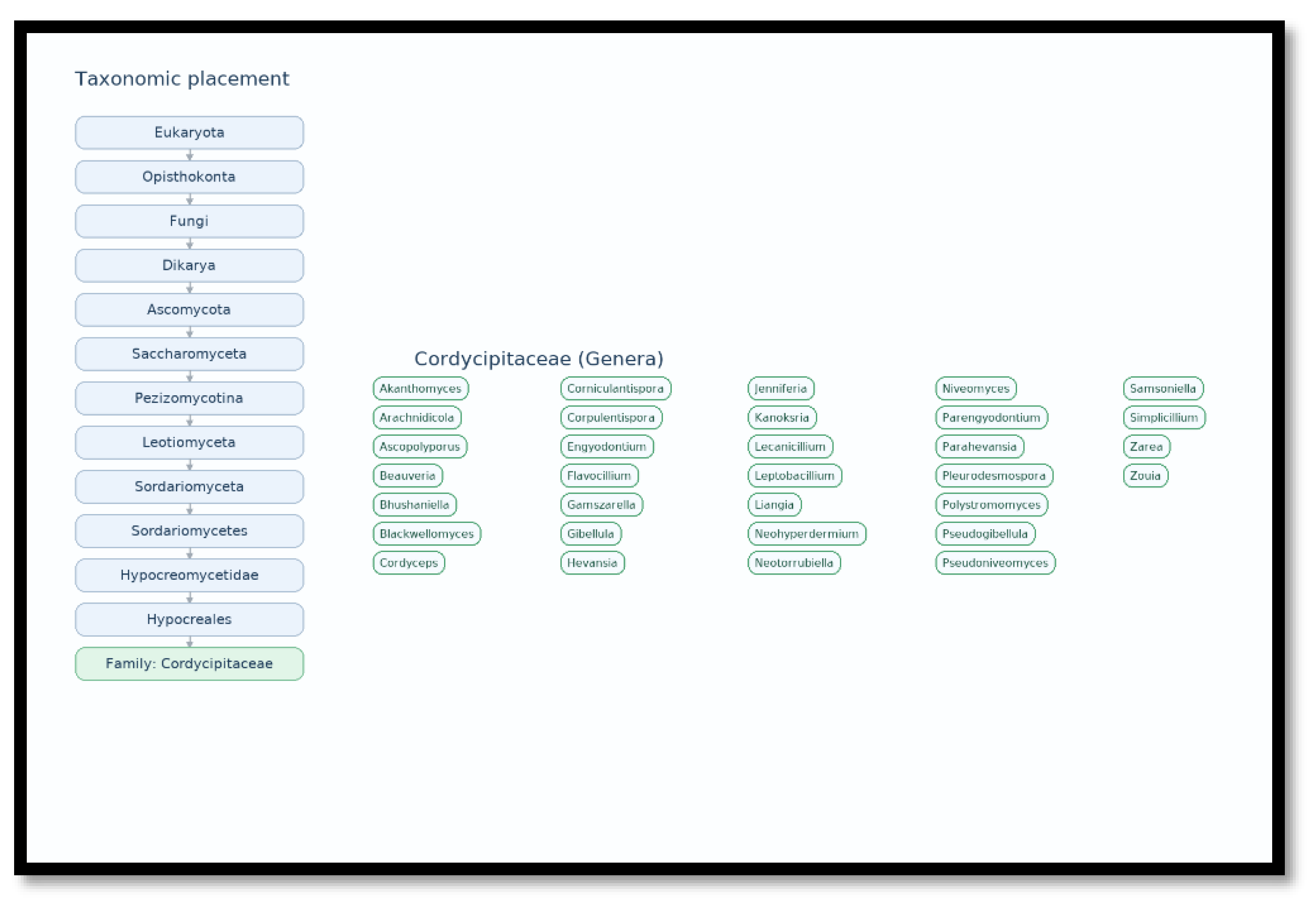 Preprints 178819 g001