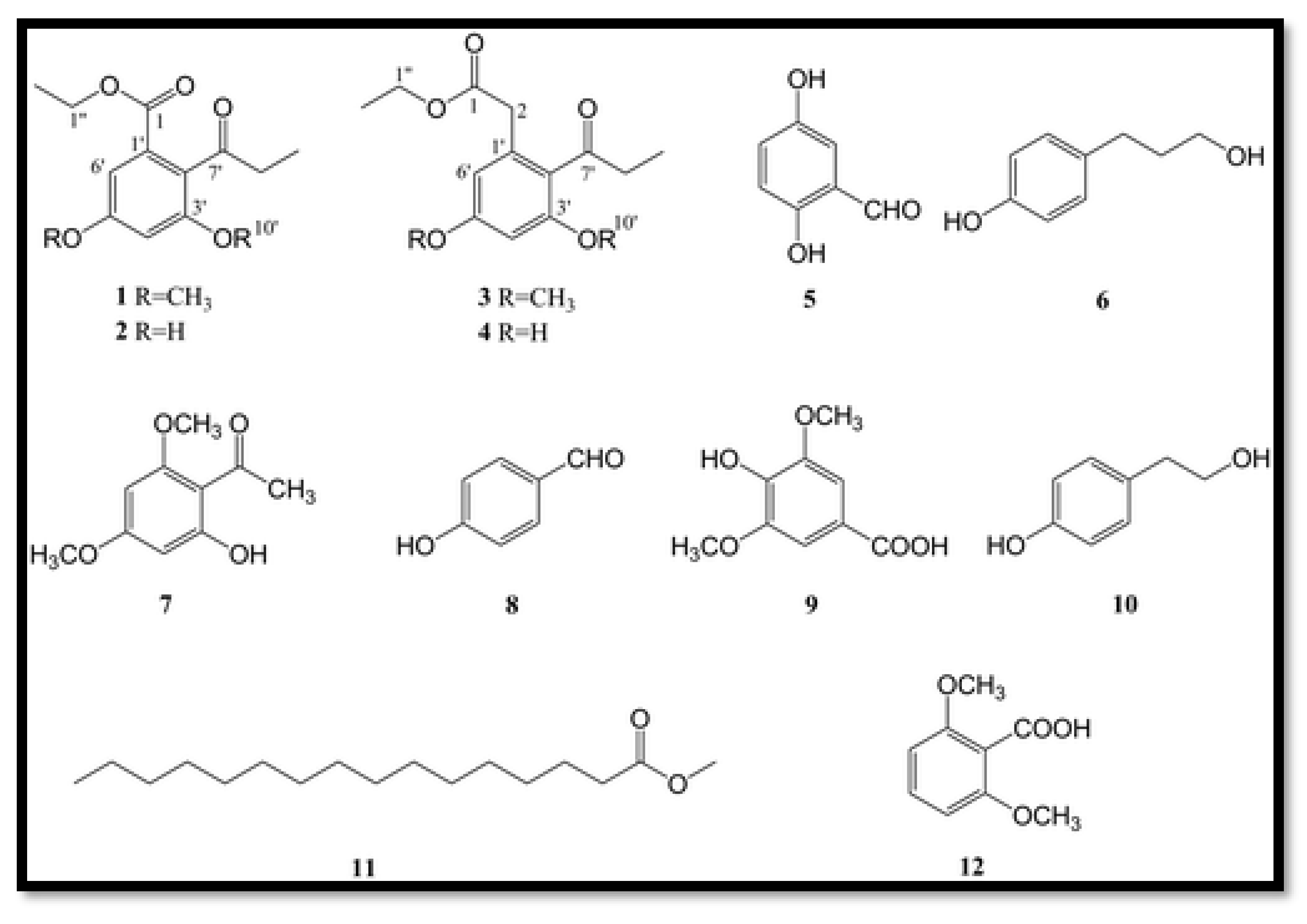 Preprints 178819 g006
