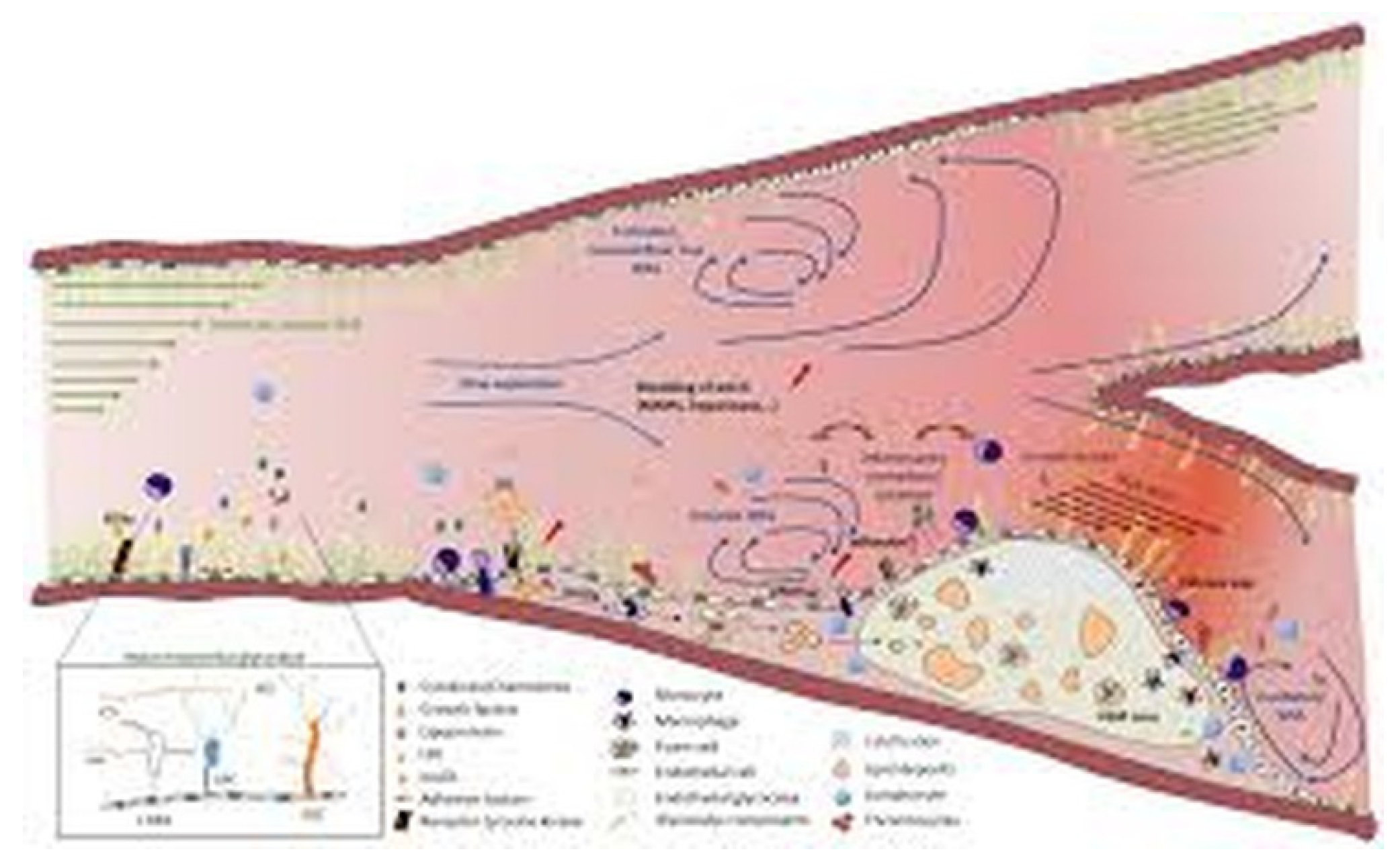 Preprints 171138 g001