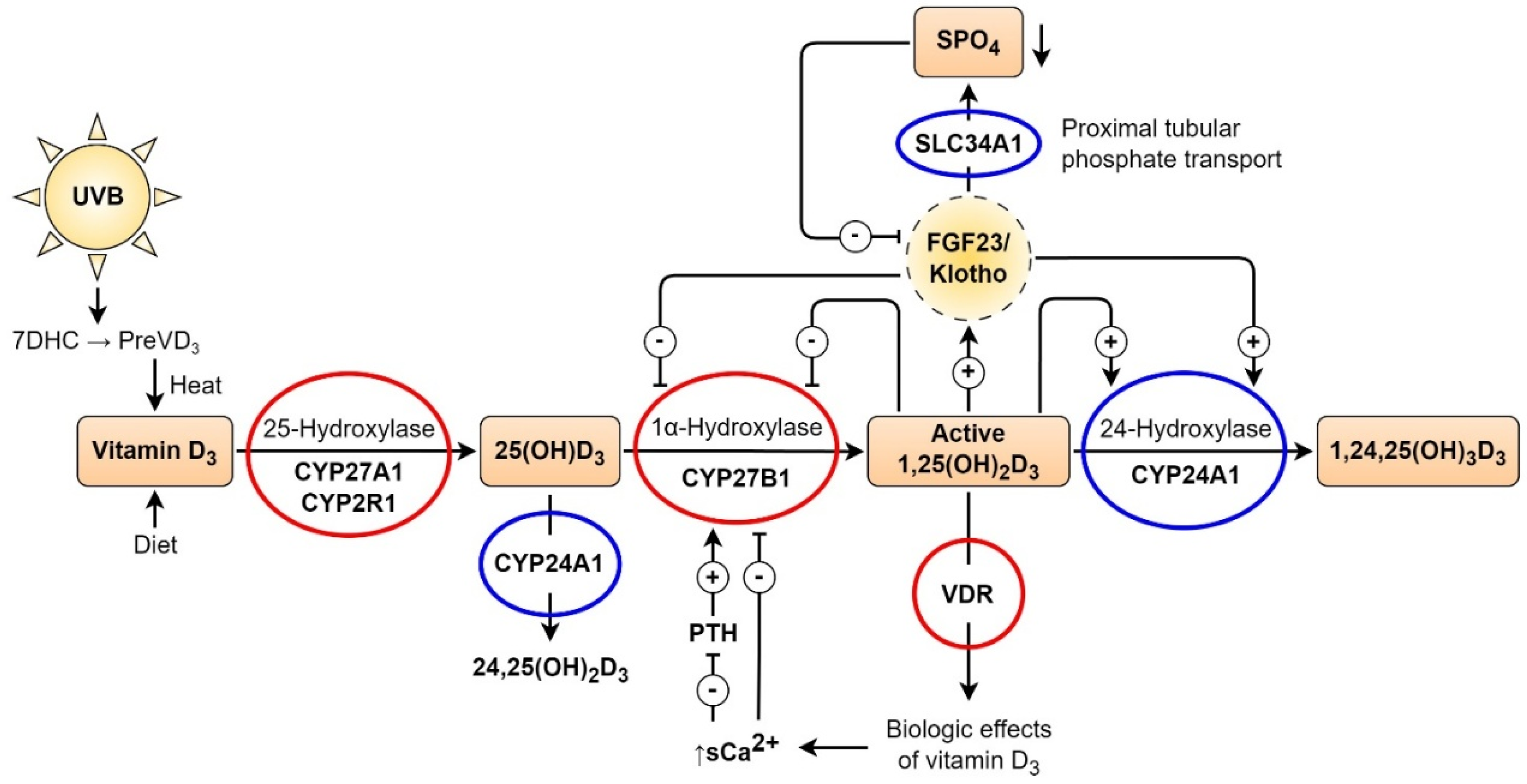 Preprints 171138 g002