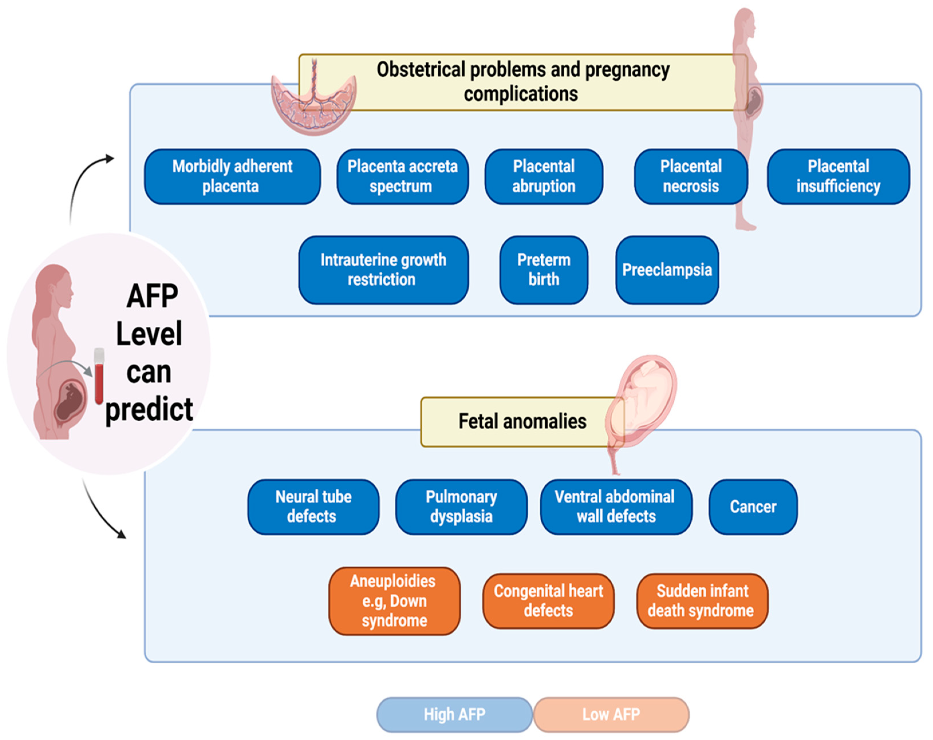 Preprints 151648 g002