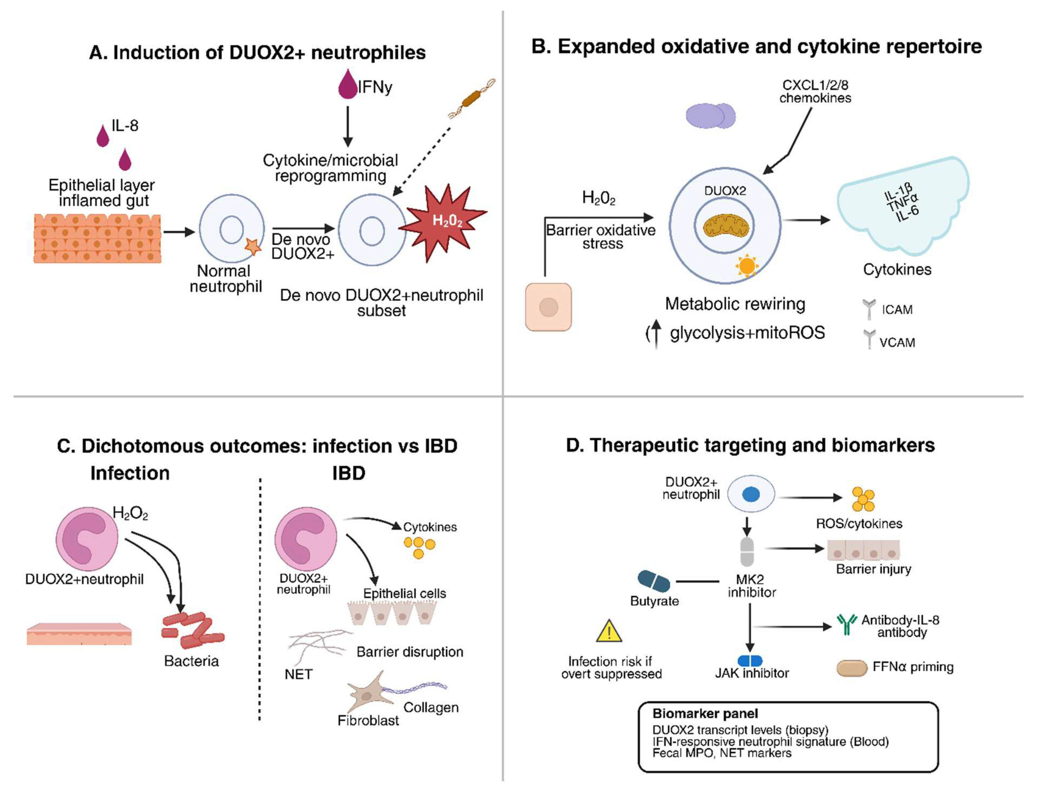 Preprints 183302 g002