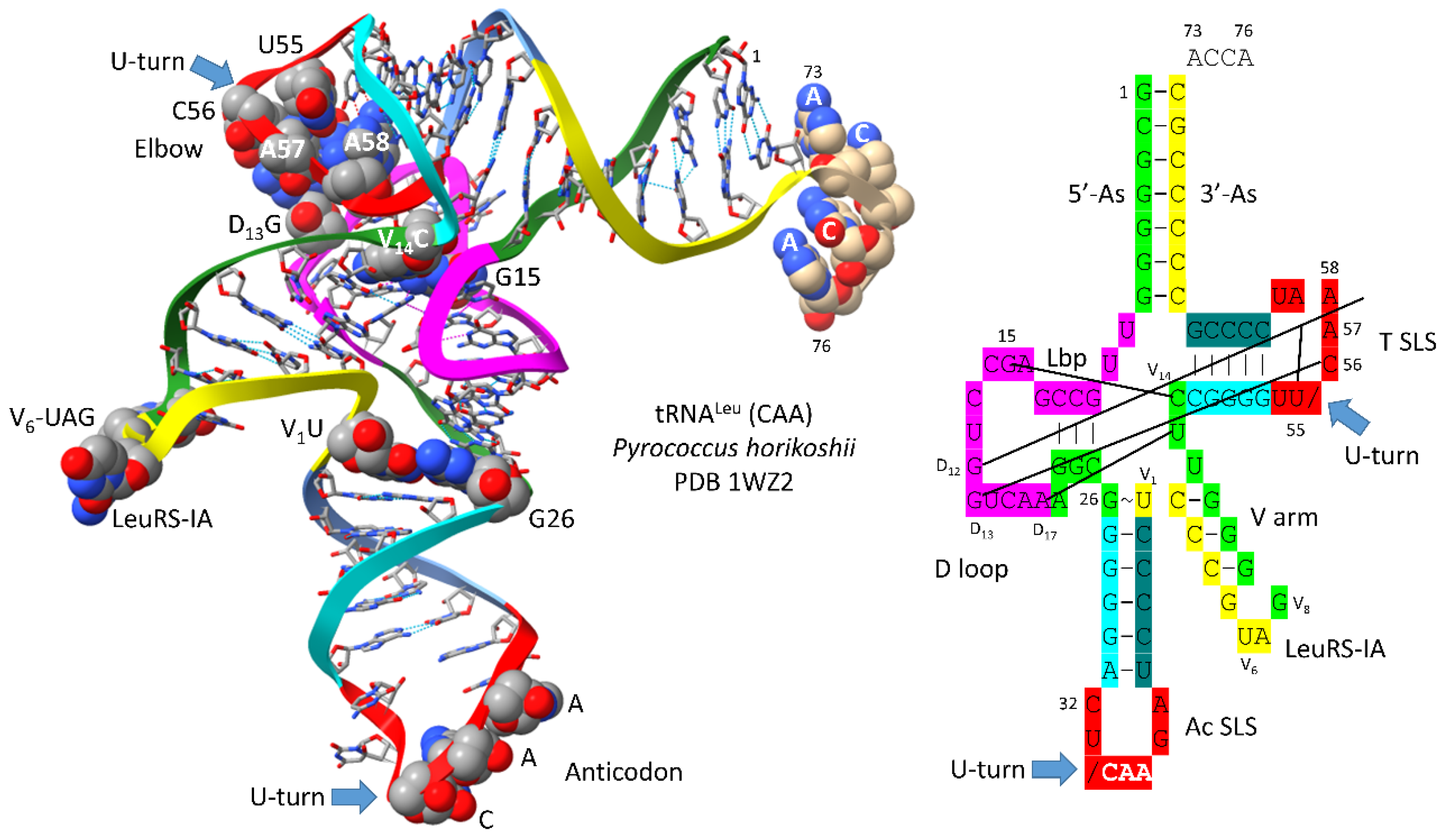 Preprints 172084 g001