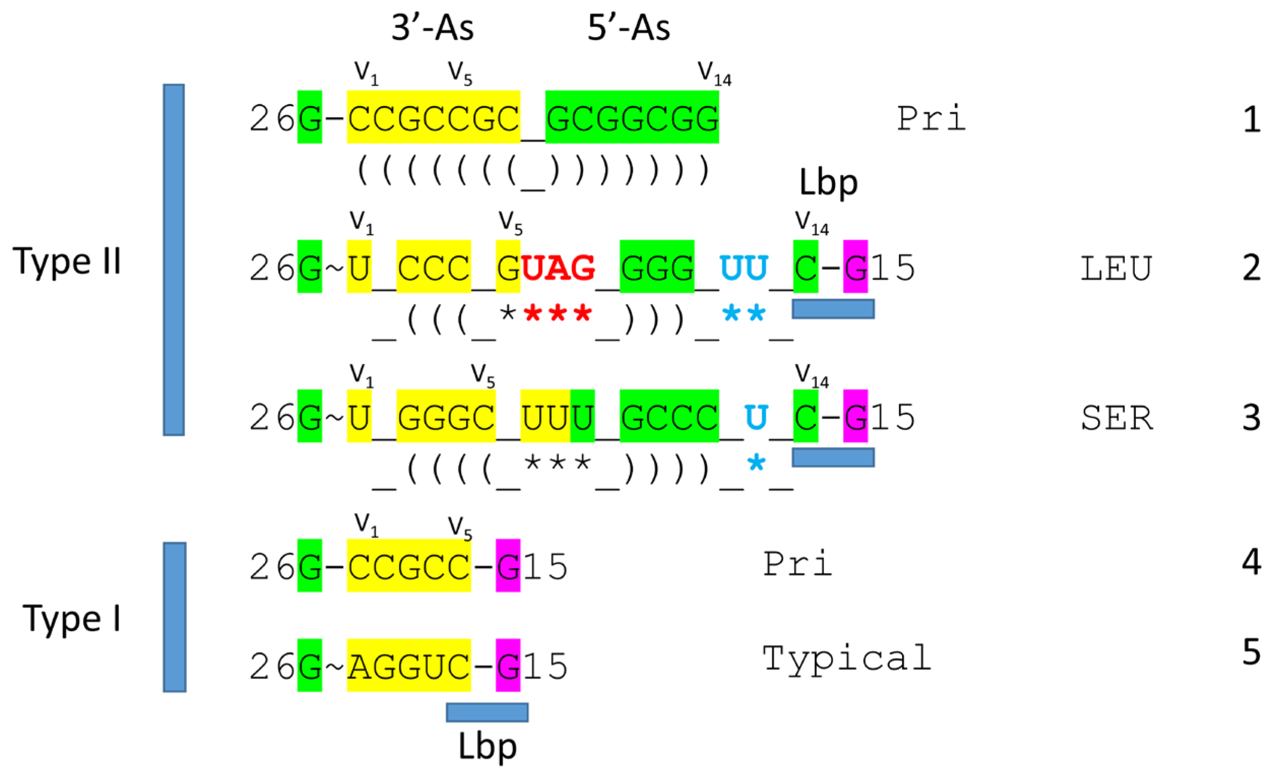 Preprints 172084 g002