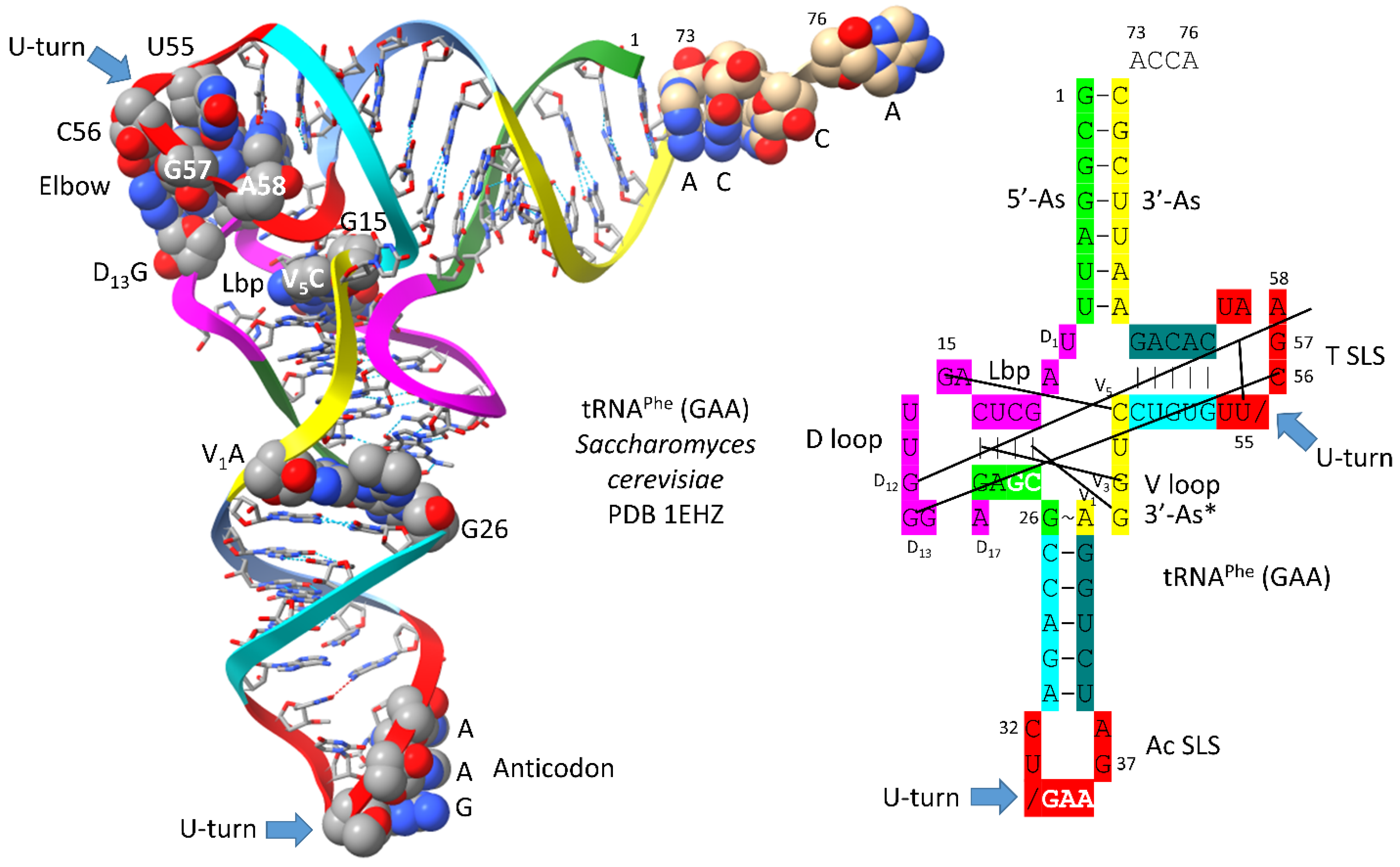 Preprints 172084 g003