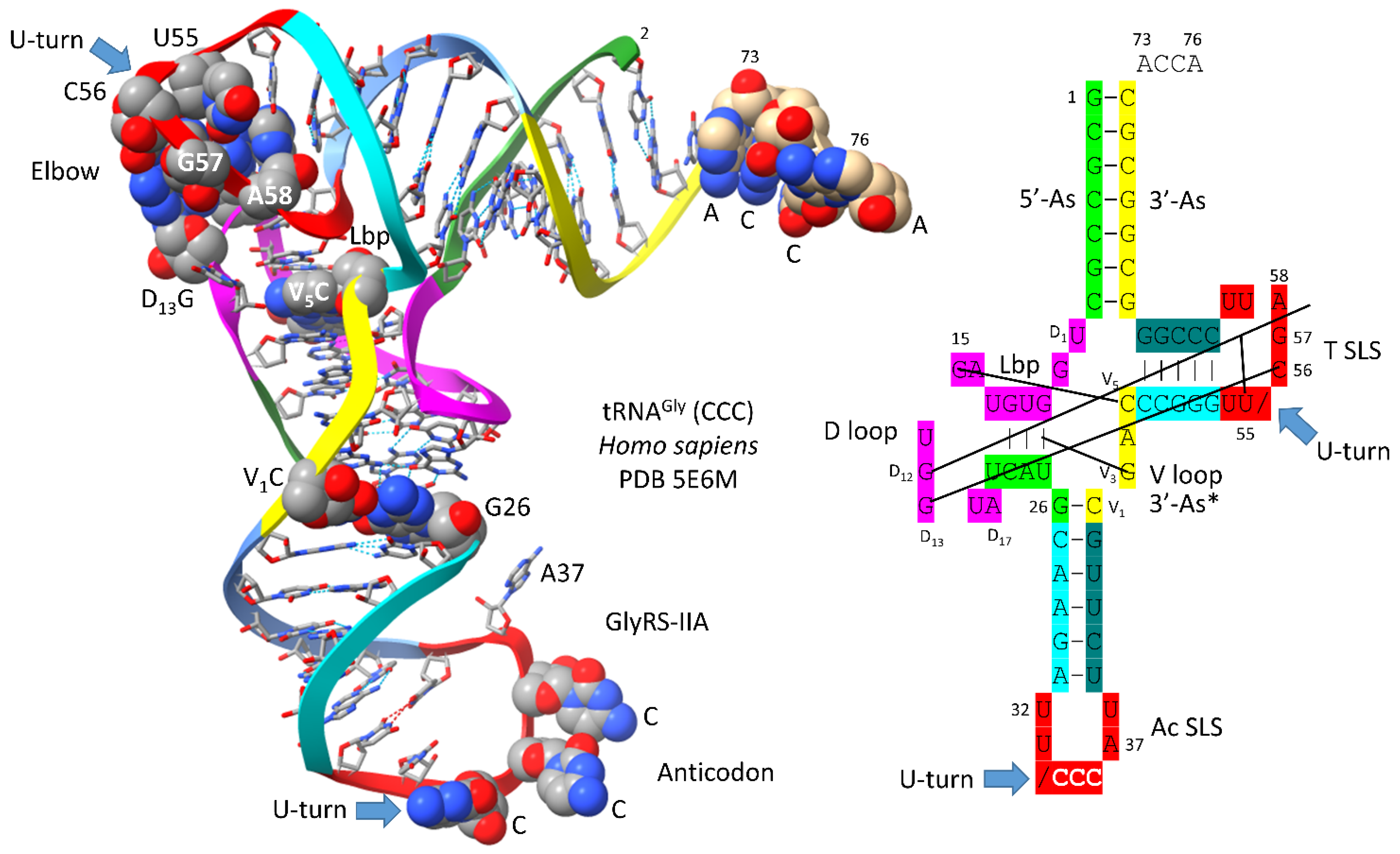 Preprints 172084 g004