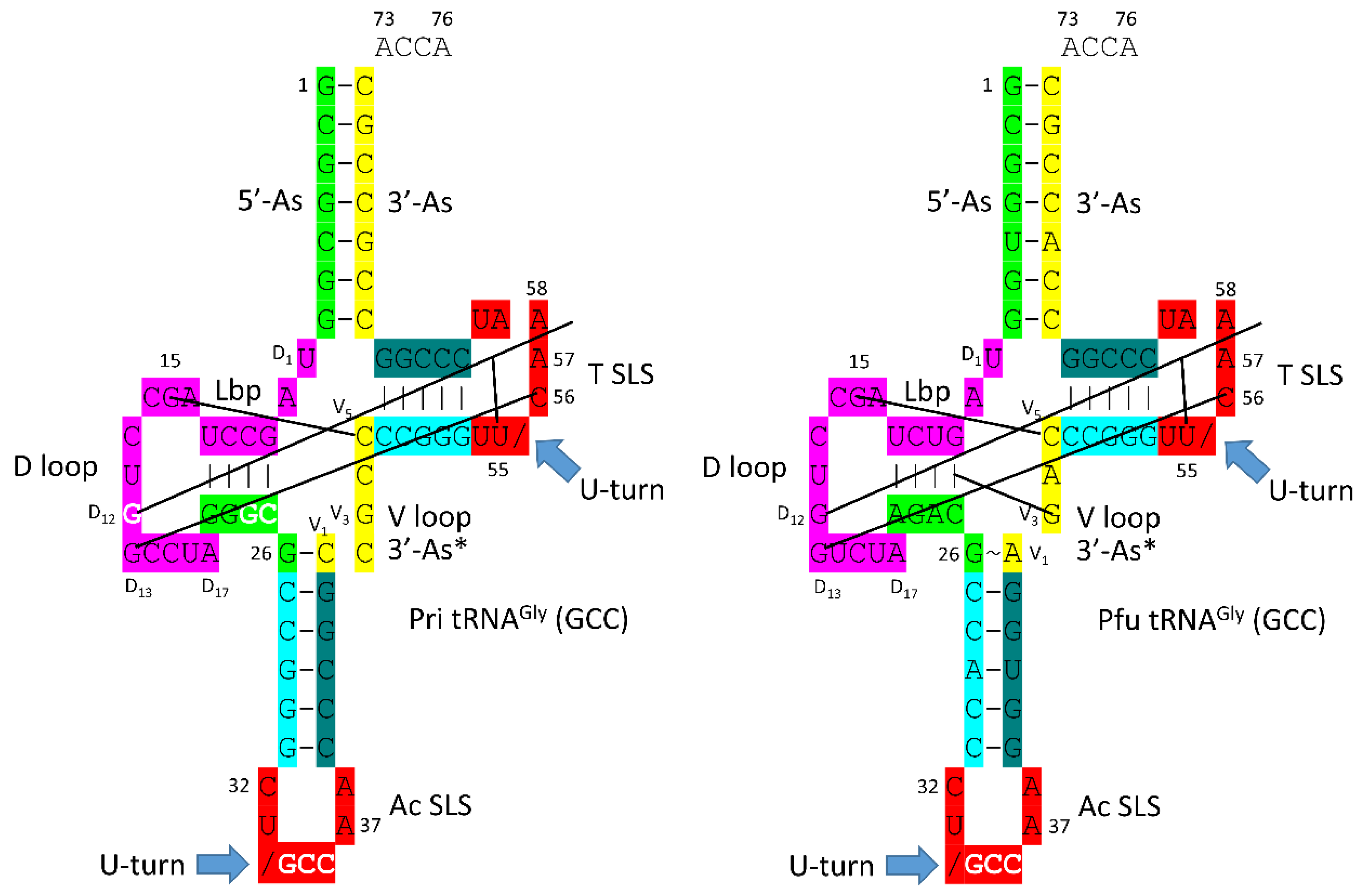 Preprints 172084 g005